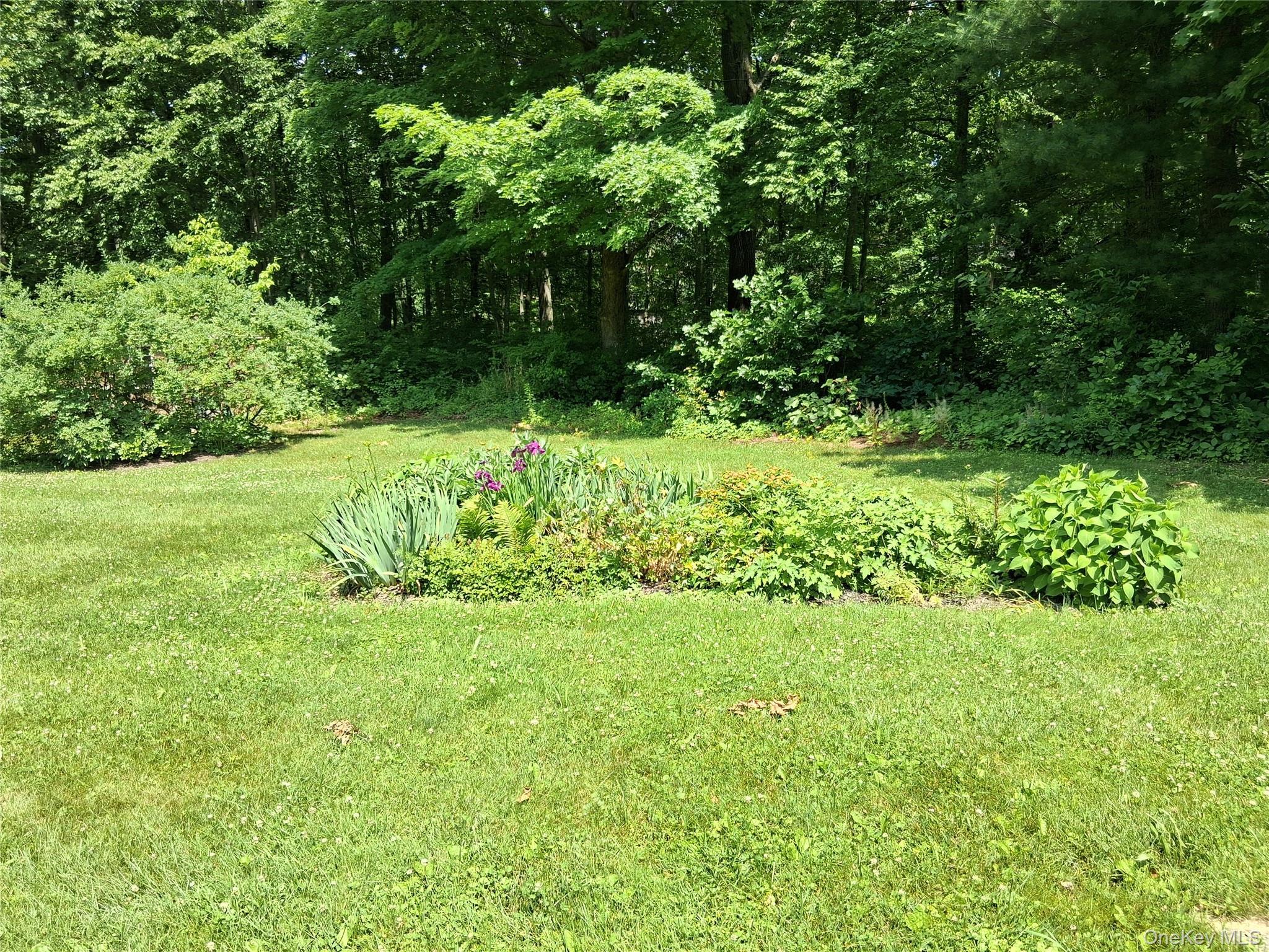Single Family Stissing Avenue  Dutchess County, NY 12567, MLS-993638-16