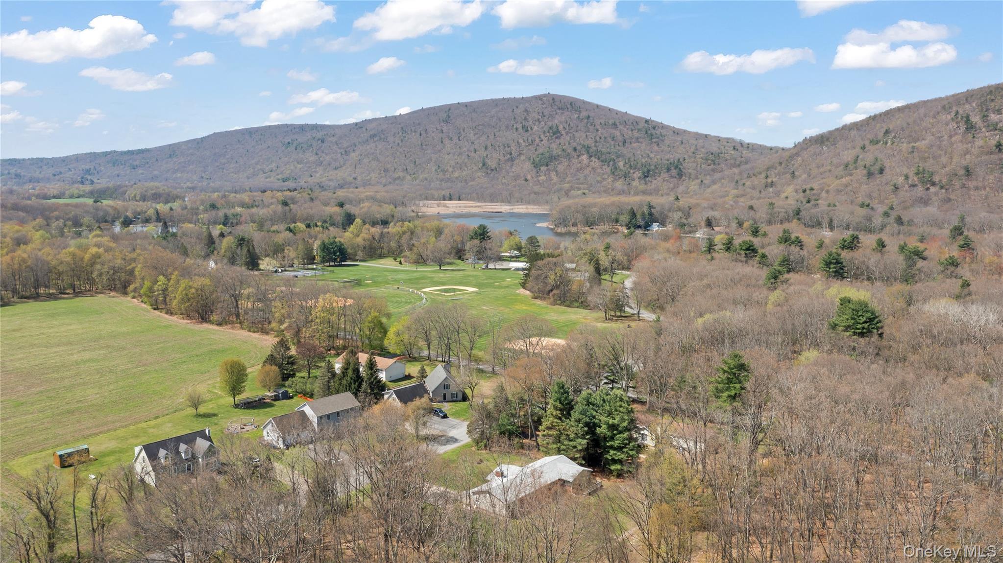 Single Family Stissing Avenue  Dutchess County, NY 12567, MLS-993638-4