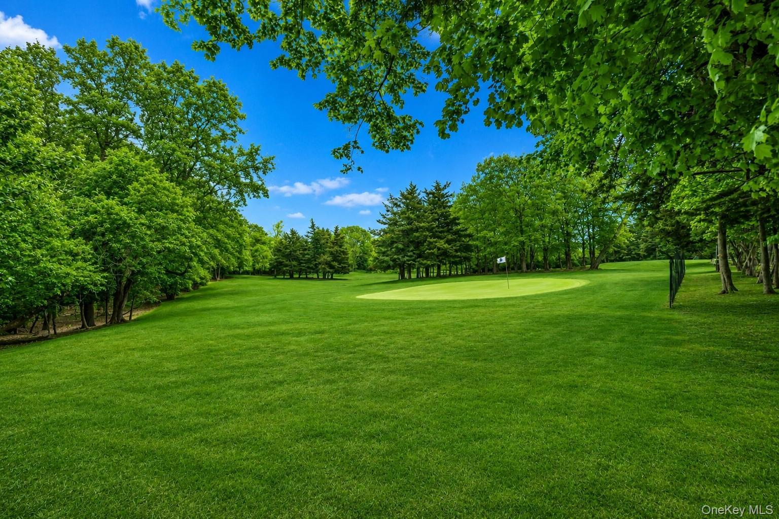 Single Family Cases Lane  Suffolk County, NY 11935, MLS-993662-29