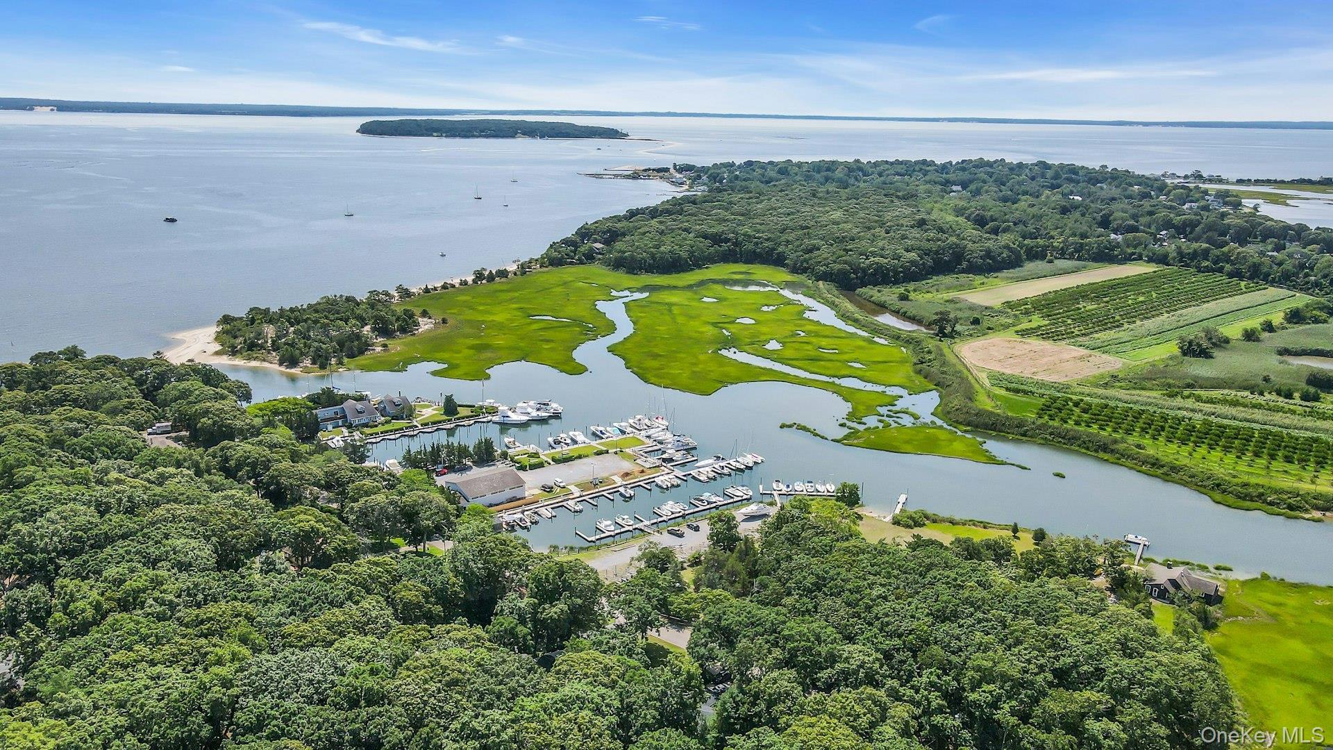 Single Family Cases Lane  Suffolk County, NY 11935, MLS-993662-4