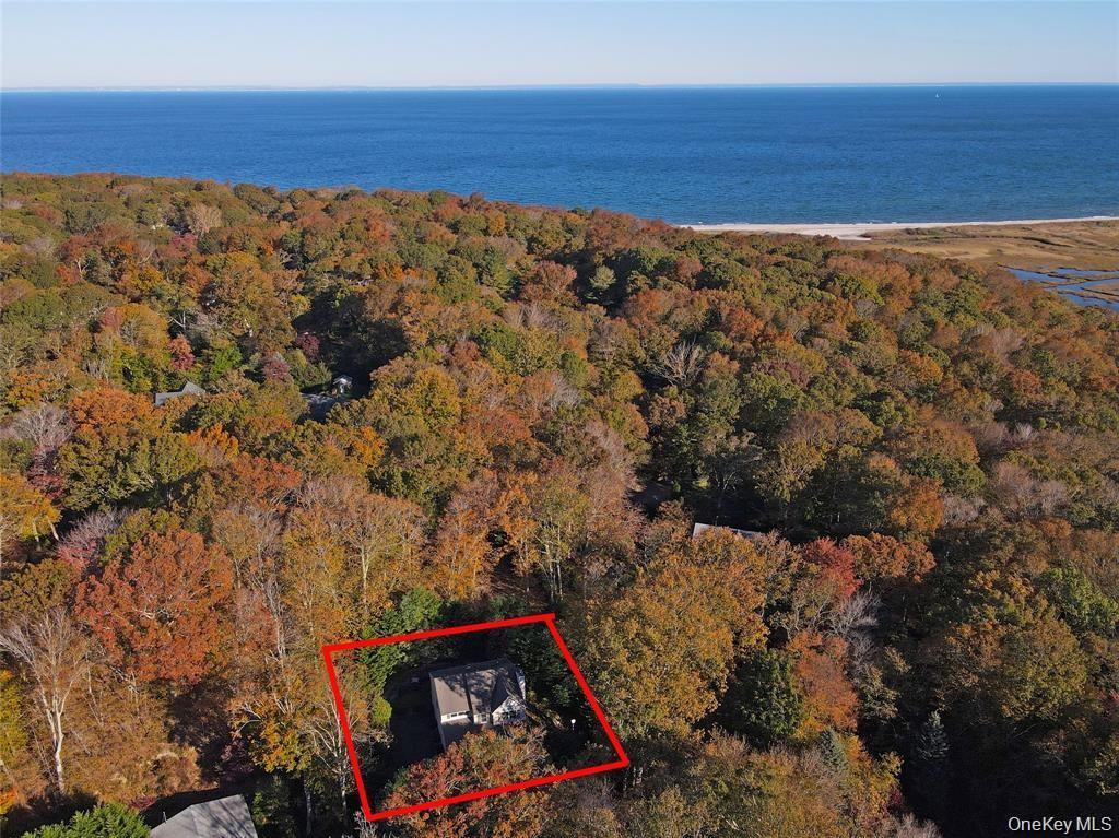 Single Family Glen  Suffolk County, NY 11933, MLS-993678-44