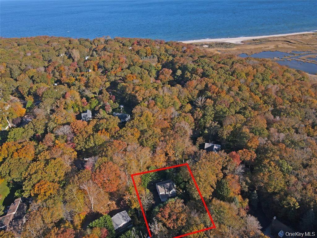 Single Family Glen  Suffolk County, NY 11933, MLS-993678-46