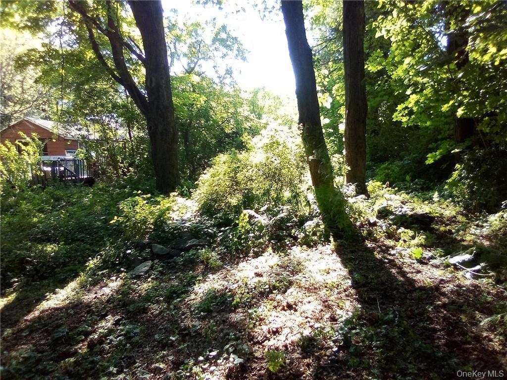 Single Family Honeywell  Dutchess County, NY 12538, MLS-993687-6