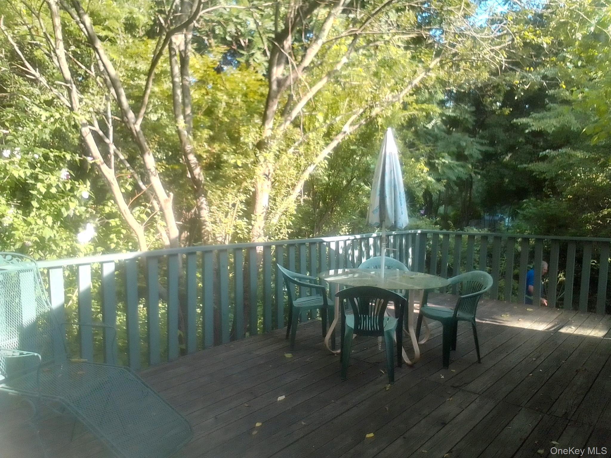Single Family Honeywell  Dutchess County, NY 12538, MLS-993687-9