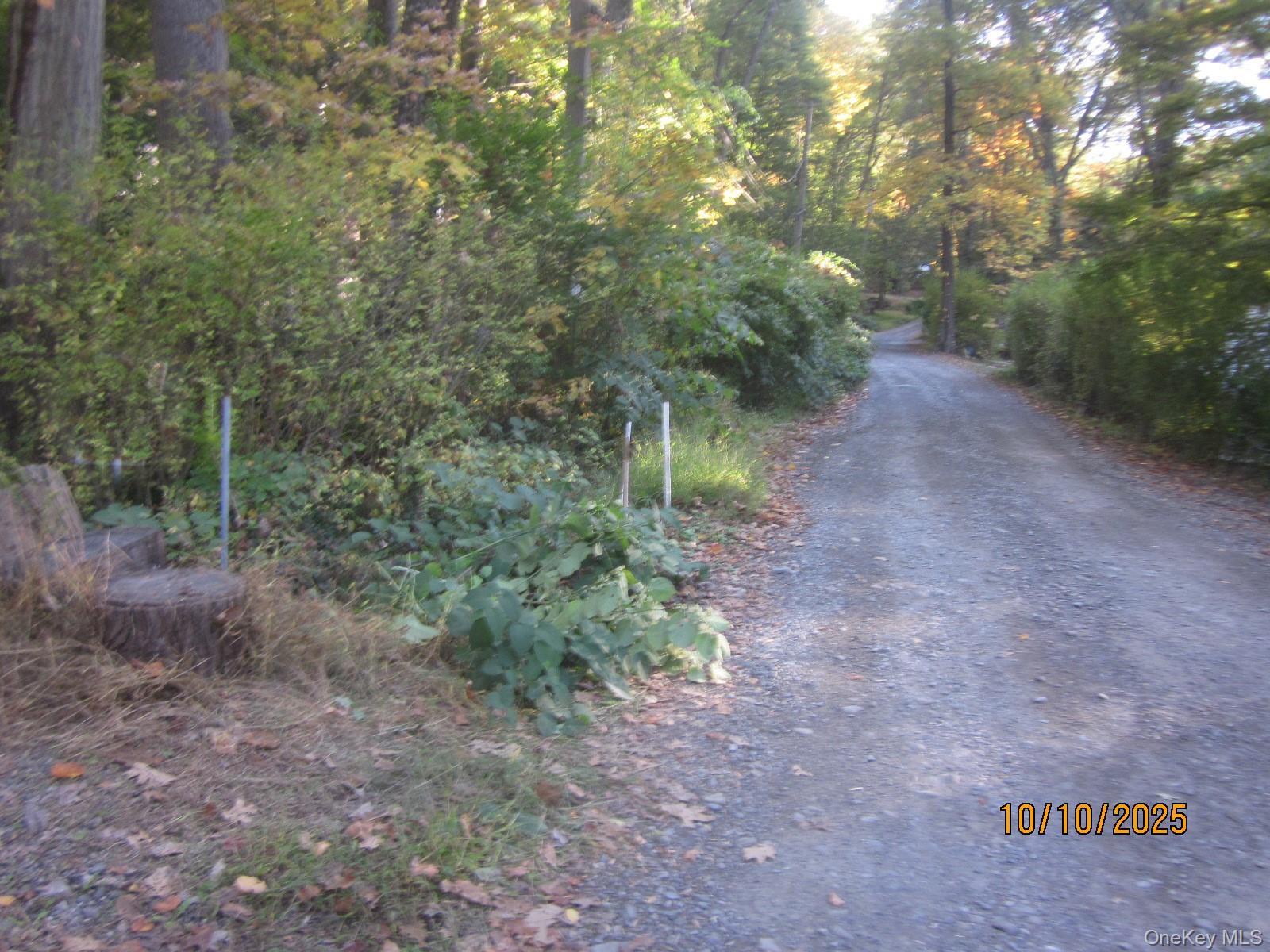 Single Family Woodland Orange County, NY 10950, MLS-993793-19