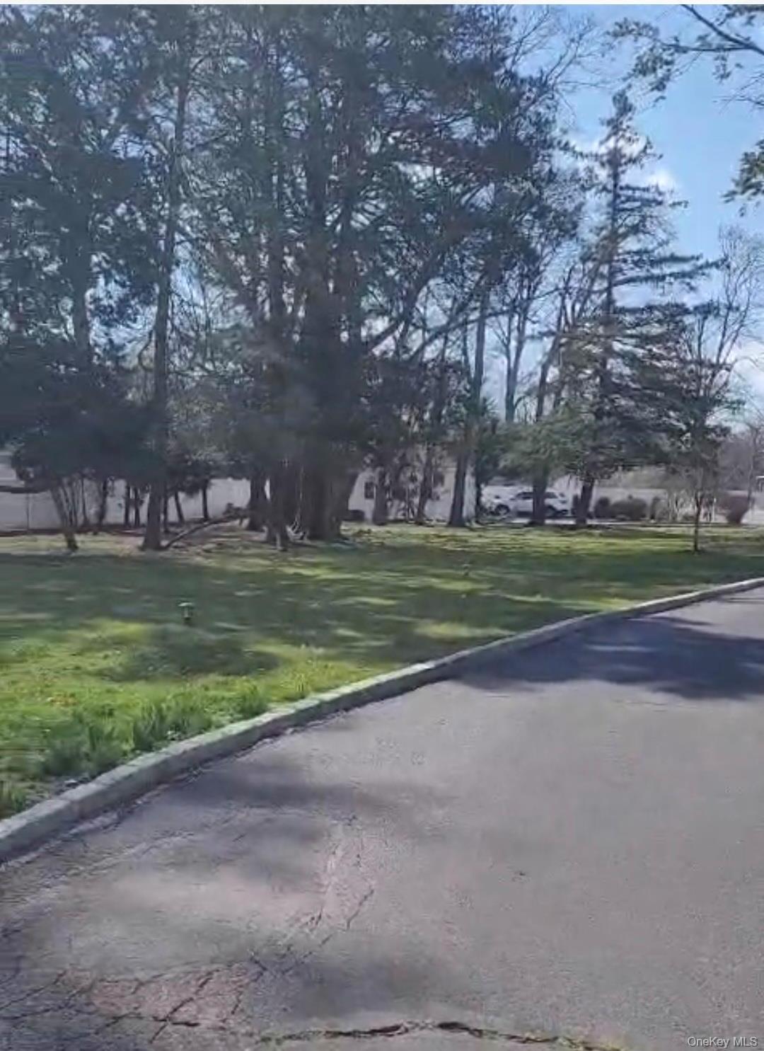 Single Family Hilton Avenue  Nassau County, NY 11550, MLS-993913-11