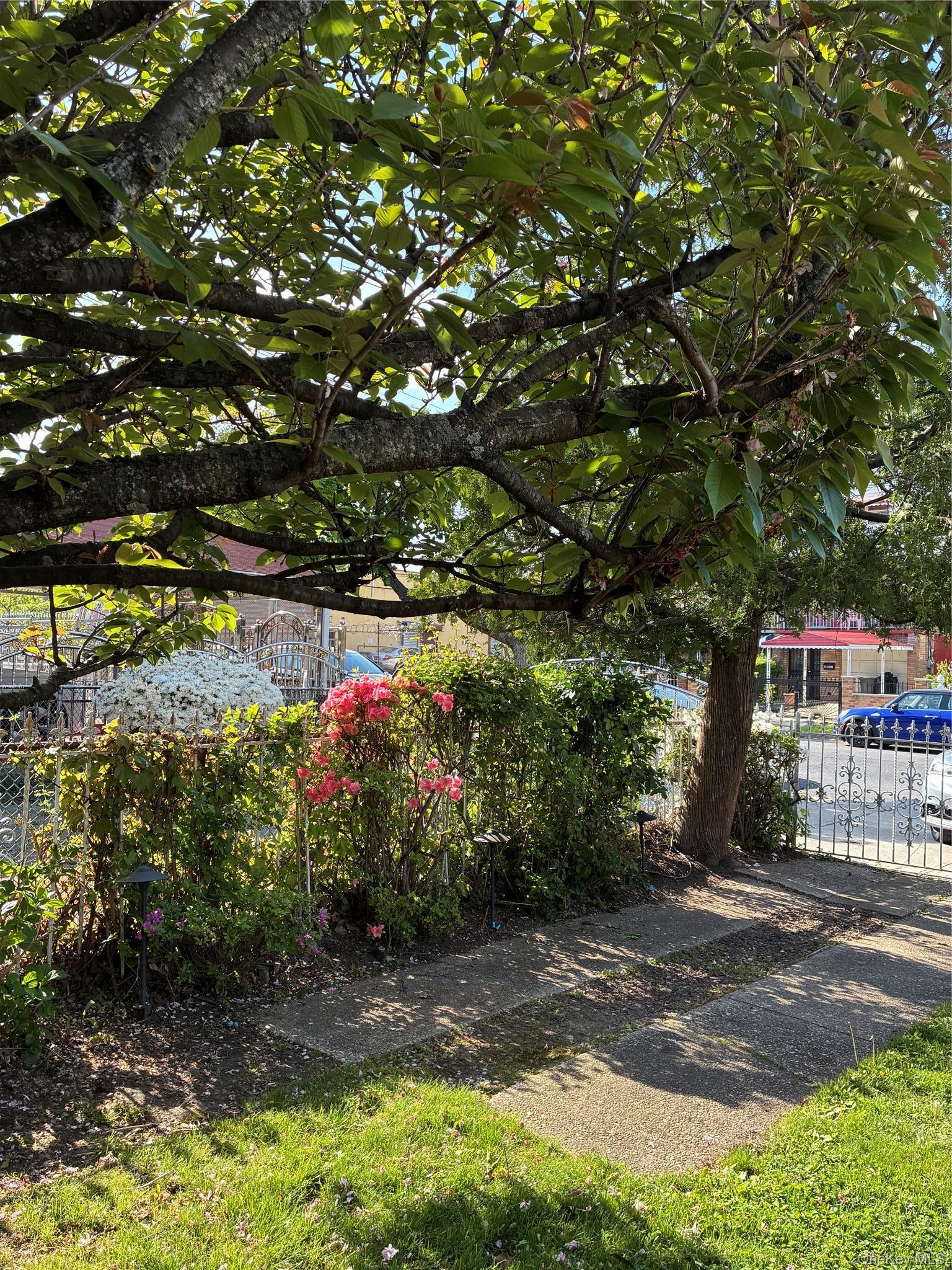 Single Family Seward Bronx, NY 10473, MLS-993918-4