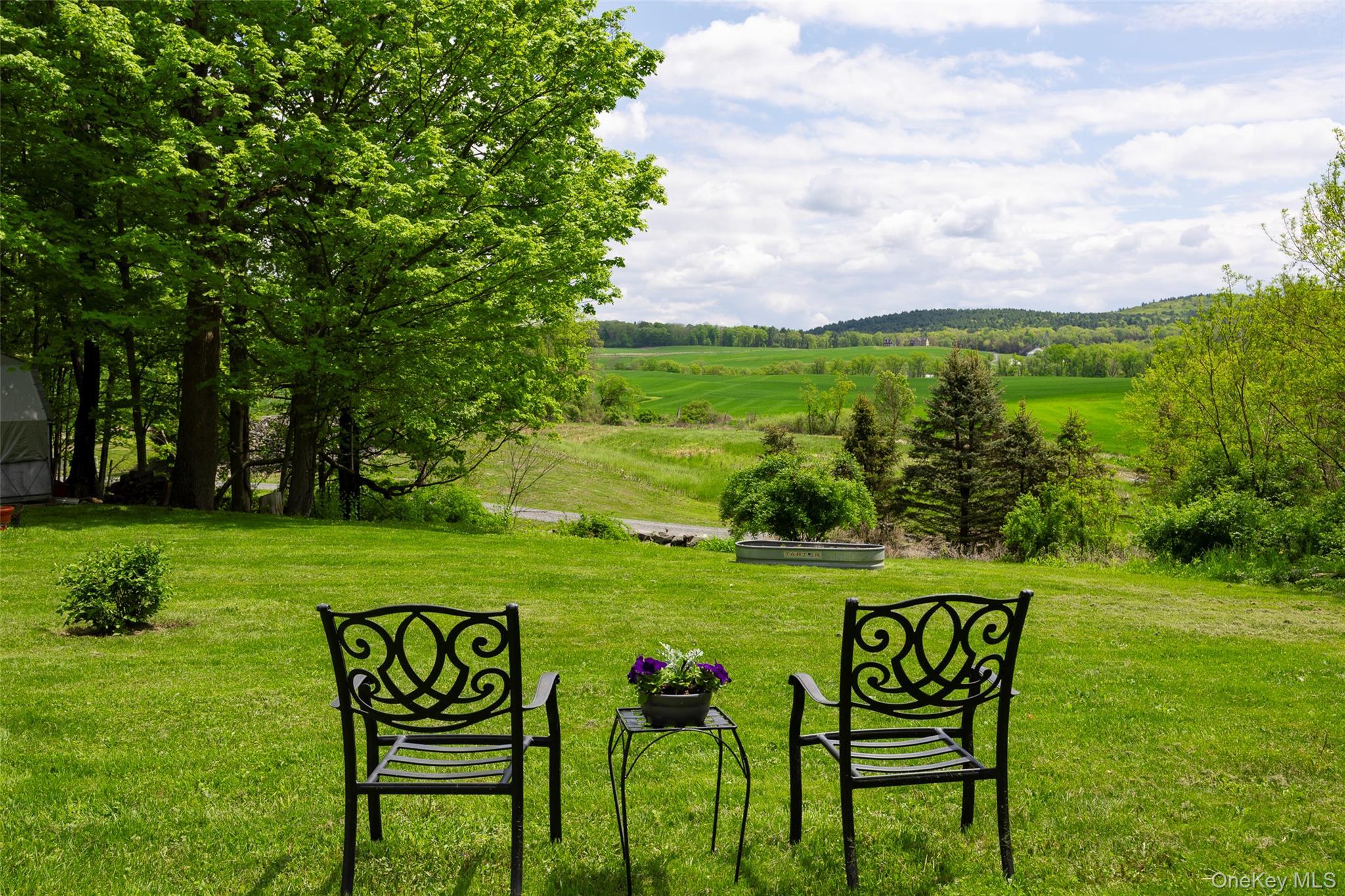 Single Family County Route 7 Columbia County, NY 12567, MLS-993929-3