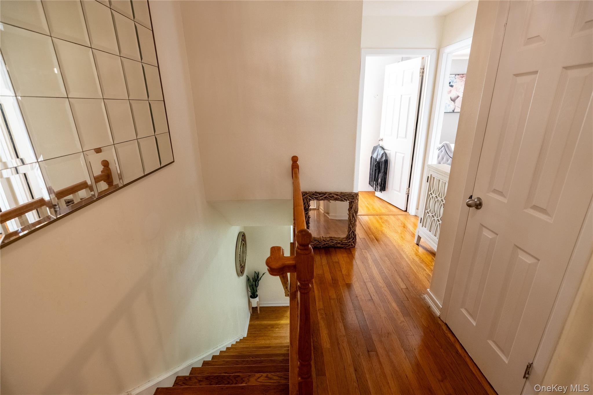 Single Family 259th Queens, NY 11422, MLS-993934-20