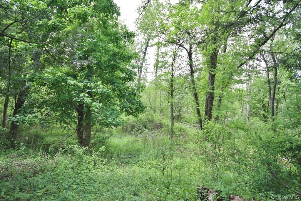 Single Family Cherrywood Drive  Dutchess County, NY 12524, MLS-993963-30