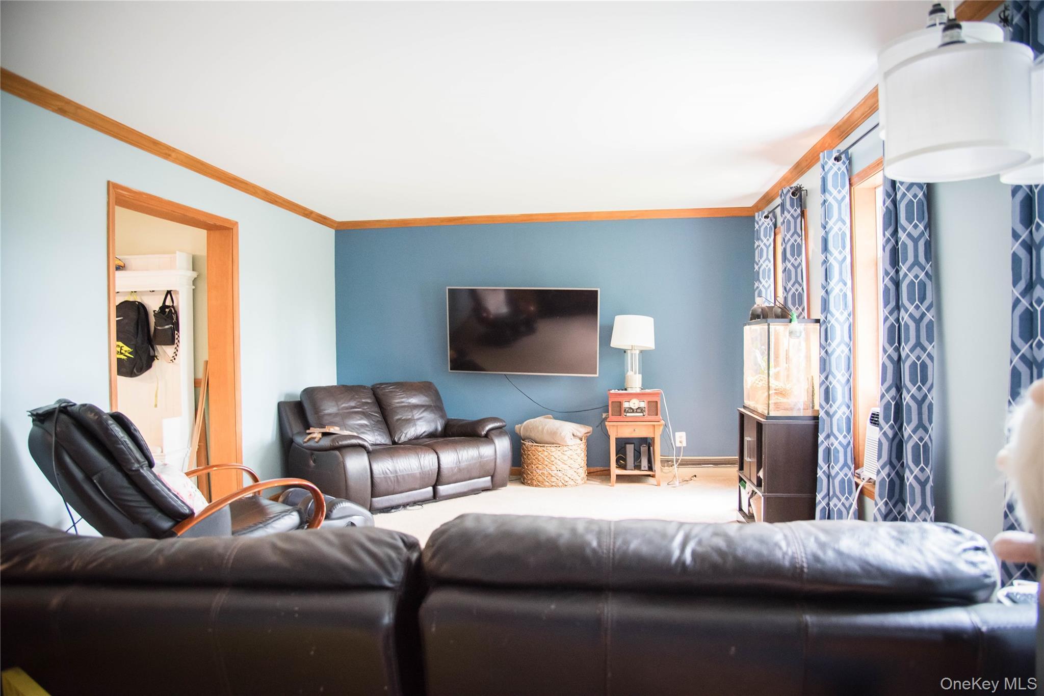 Single Family Cooper Street Ulster County, NY 12404, MLS-994006-5