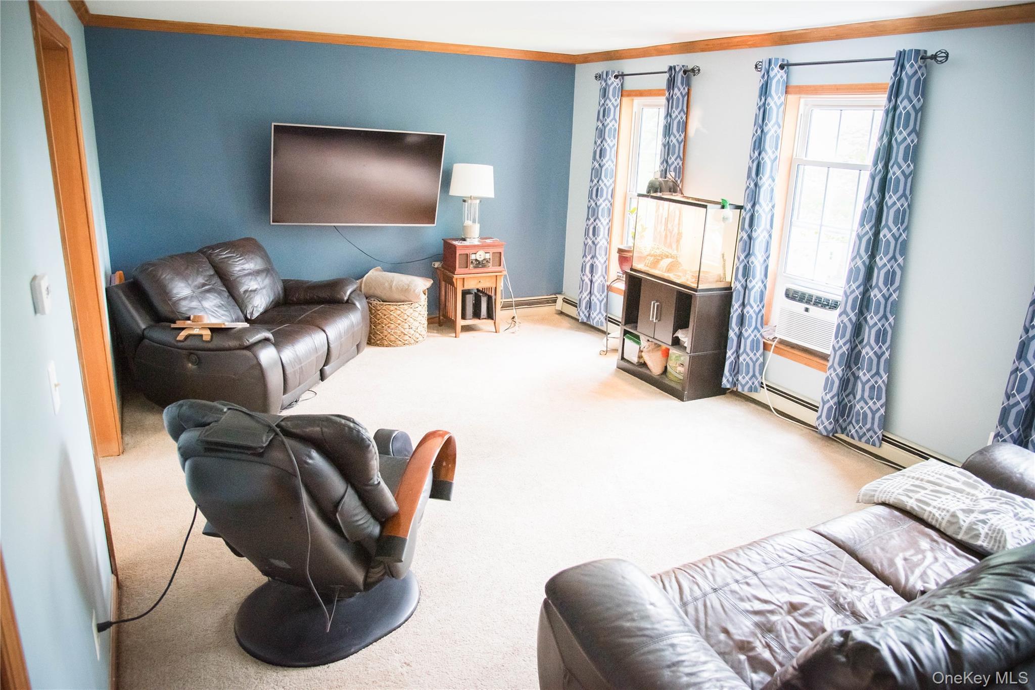 Single Family Cooper Street Ulster County, NY 12404, MLS-994006-6