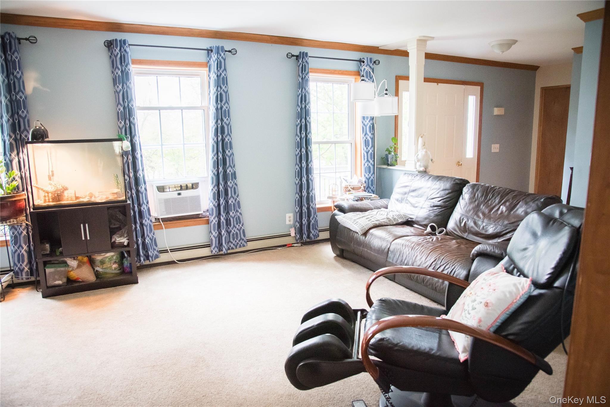 Single Family Cooper Street Ulster County, NY 12404, MLS-994006-7