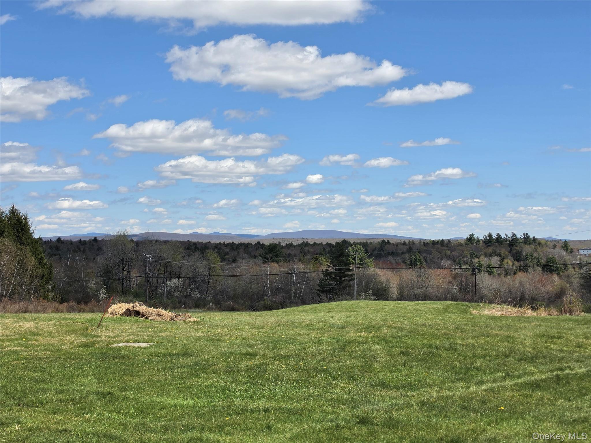 Single Family Mullen  Sullivan County, NY 12768, MLS-994008-24