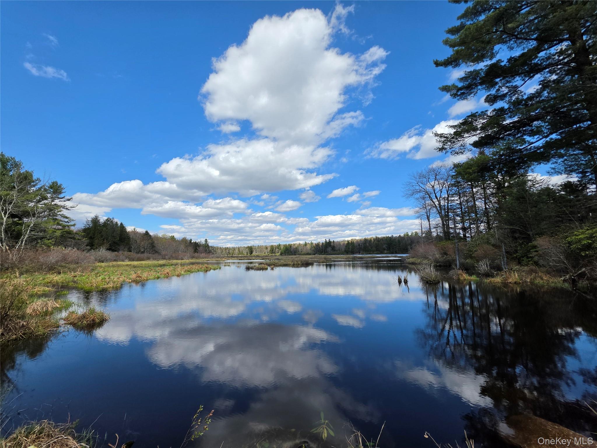 Single Family Mullen  Sullivan County, NY 12768, MLS-994008-25