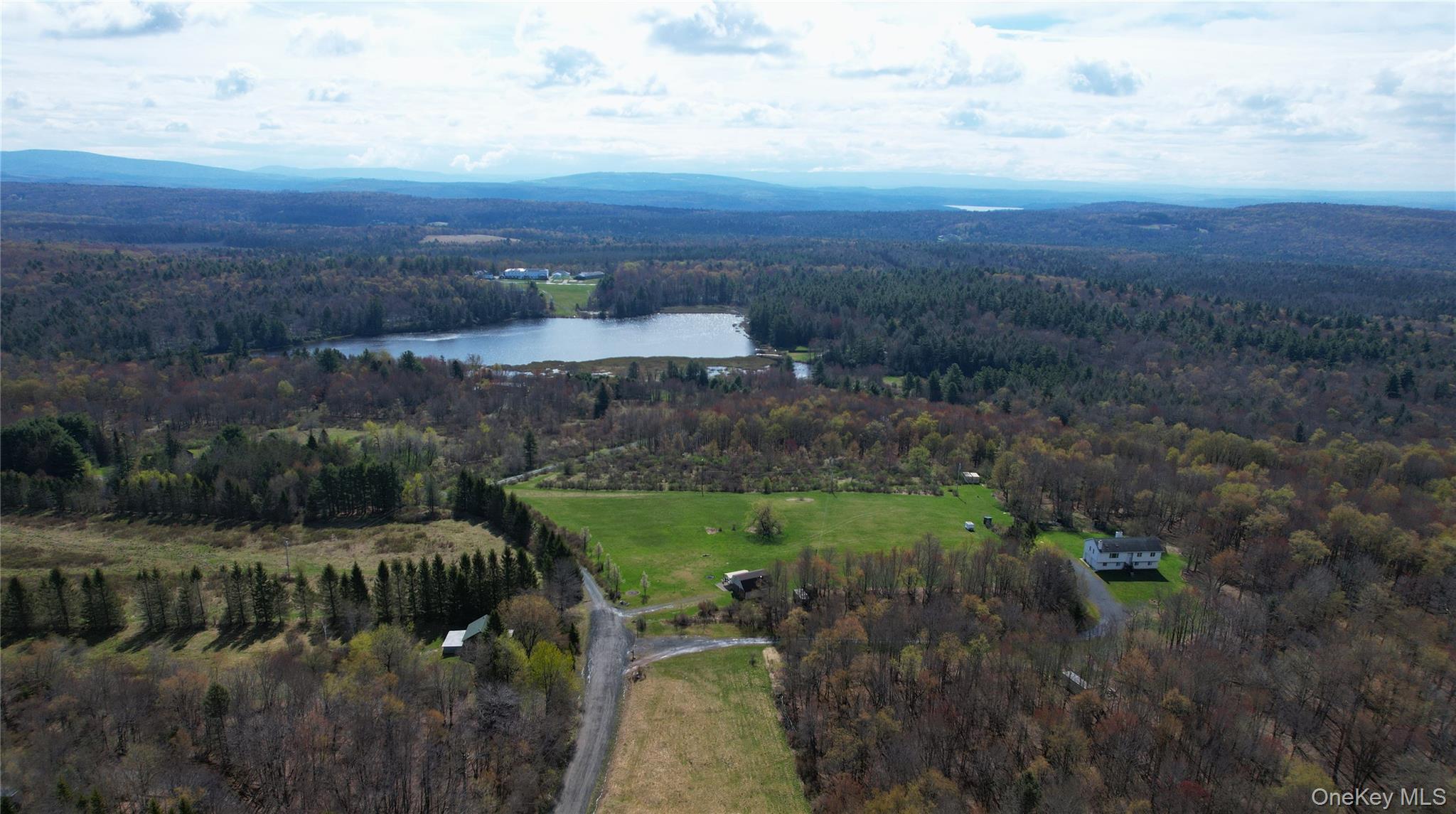 Single Family Mullen  Sullivan County, NY 12768, MLS-994008-29