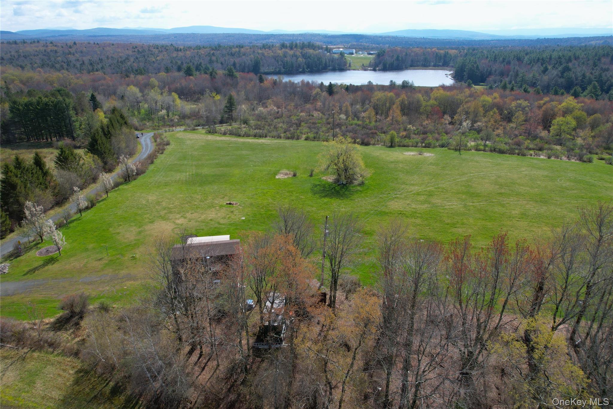 Single Family Mullen  Sullivan County, NY 12768, MLS-994008-30