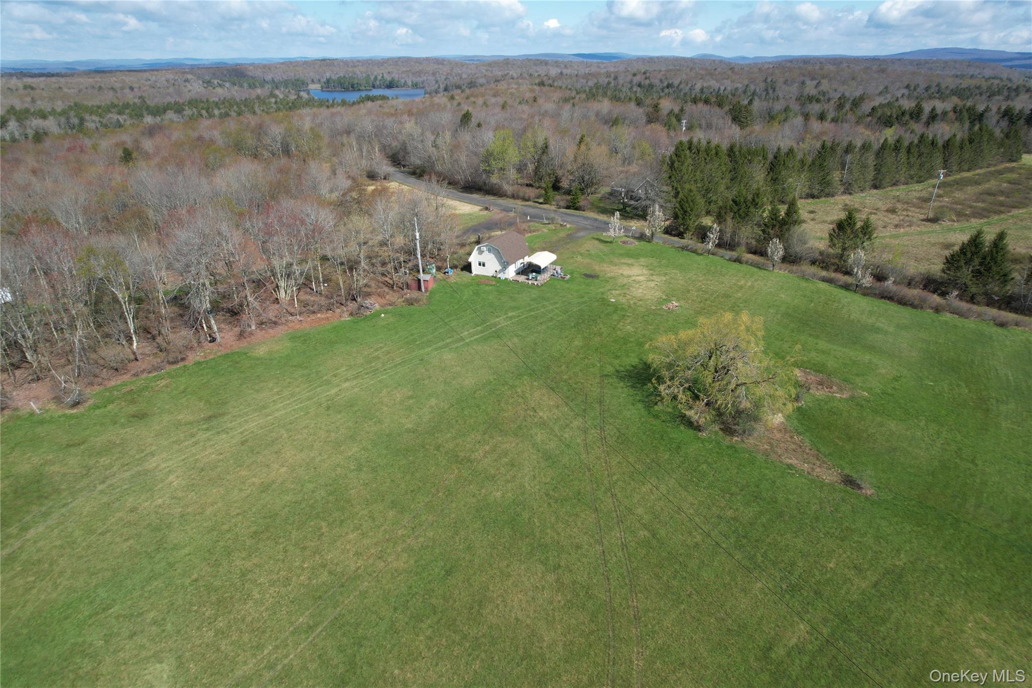 Single Family Mullen  Sullivan County, NY 12768, MLS-994008-31