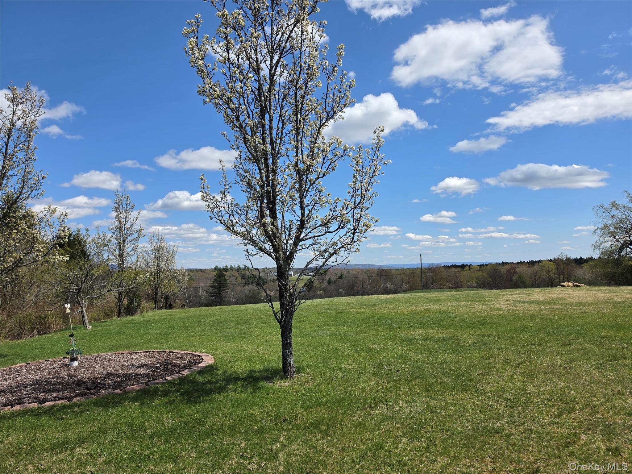 Single Family Mullen  Sullivan County, NY 12768, MLS-994008-32