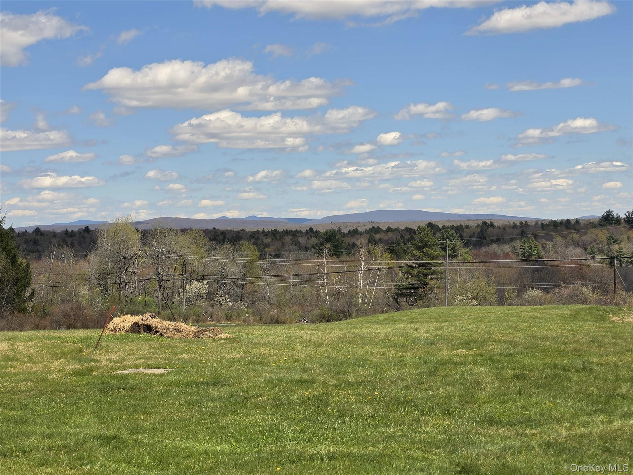 Single Family Mullen  Sullivan County, NY 12768, MLS-994008-6