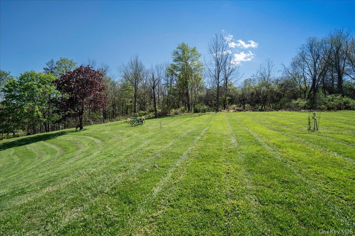 Single Family Maple Avenue Orange County, NY 10924, MLS-994026-49