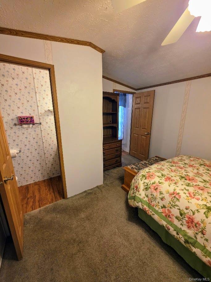 Single Family Hubbard Suffolk County, NY 11901, MLS-994029-13
