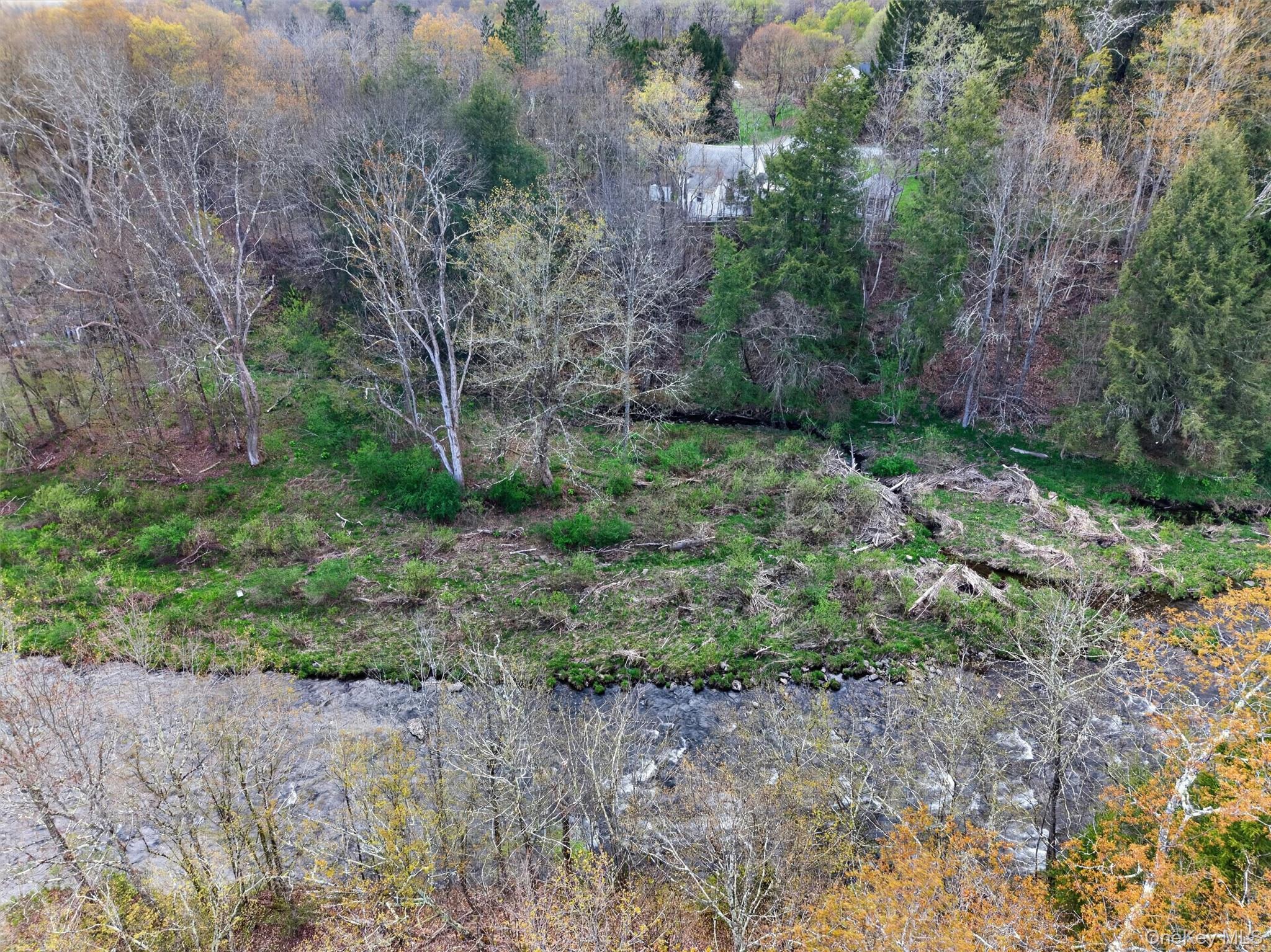 Single Family Debruce Road Sullivan County, NY 12758, MLS-994095-3