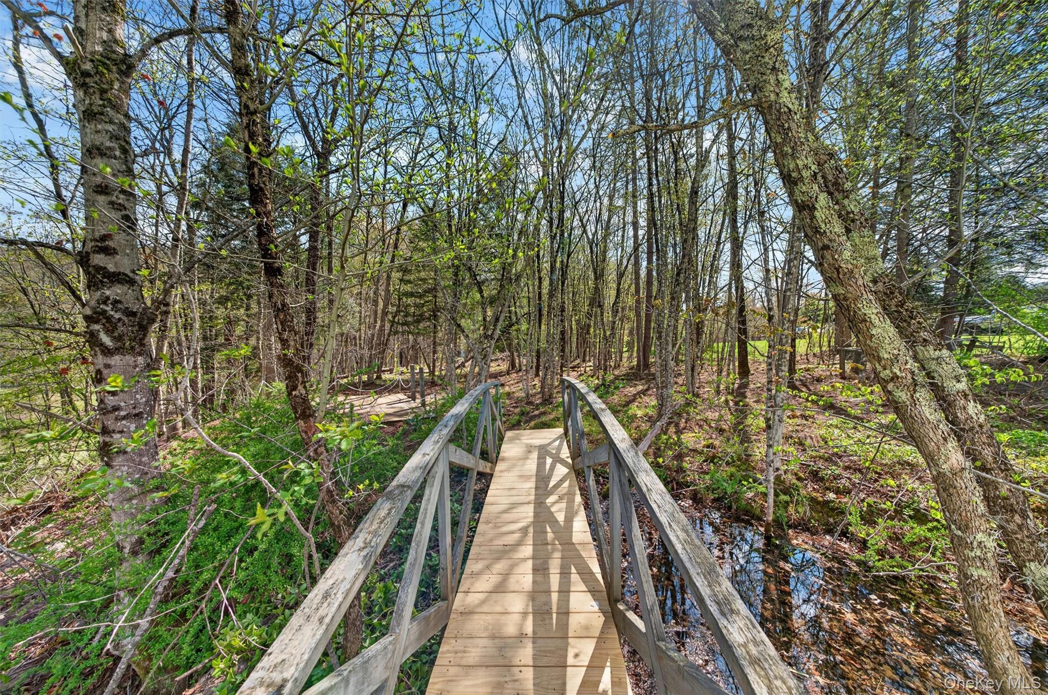 Single Family Debruce Road Sullivan County, NY 12758, MLS-994095-31