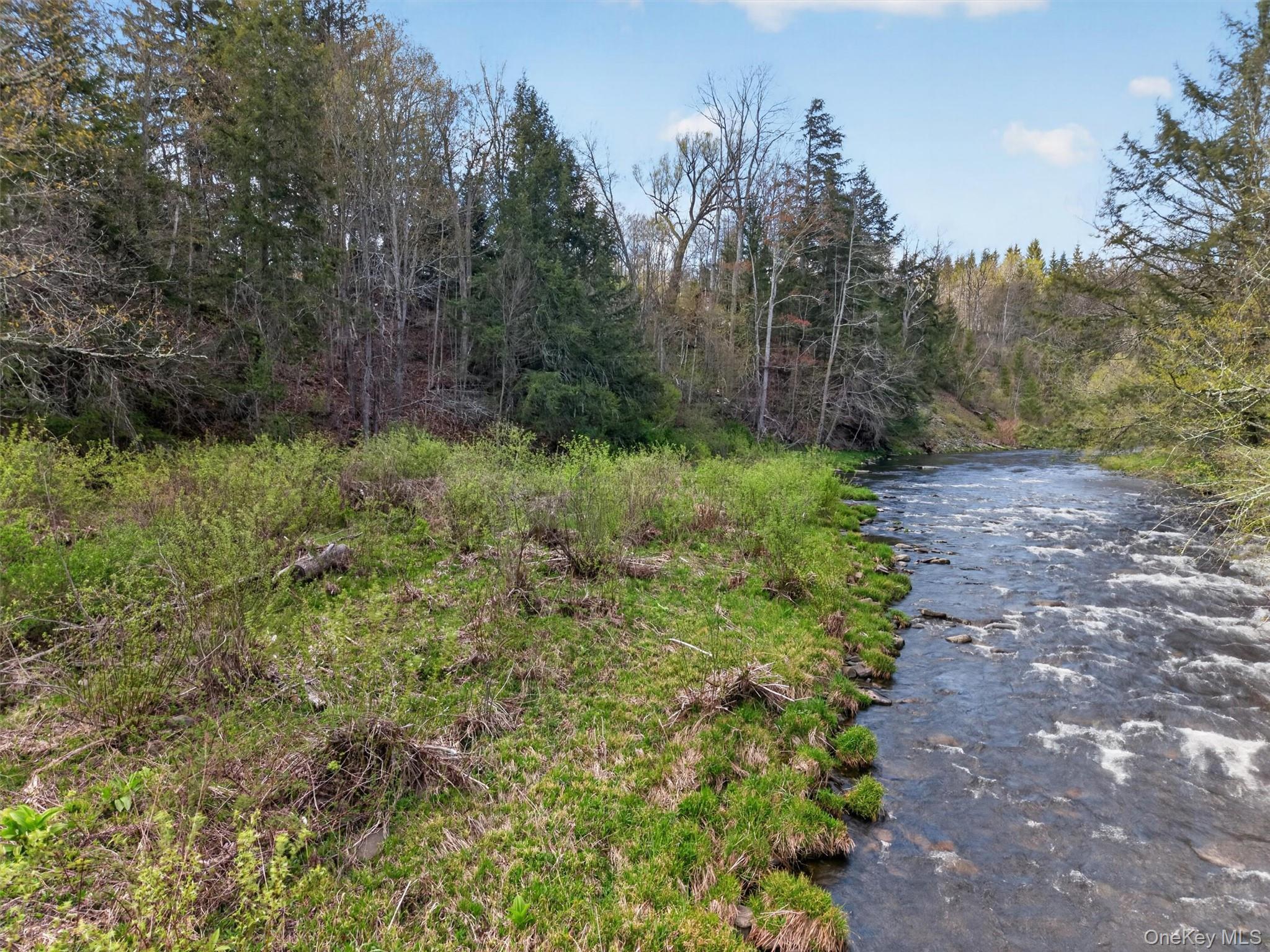 Single Family Debruce Road Sullivan County, NY 12758, MLS-994095-33