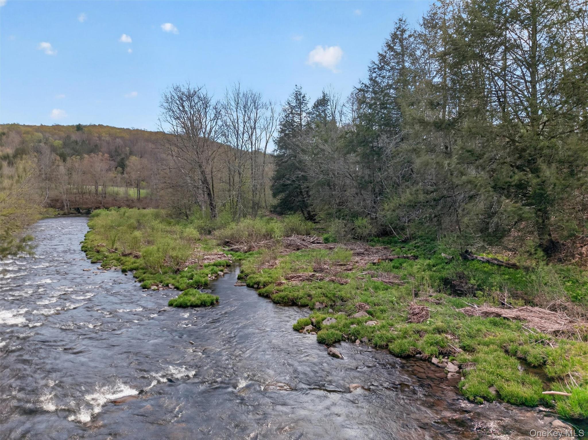 Single Family Debruce Road Sullivan County, NY 12758, MLS-994095-4