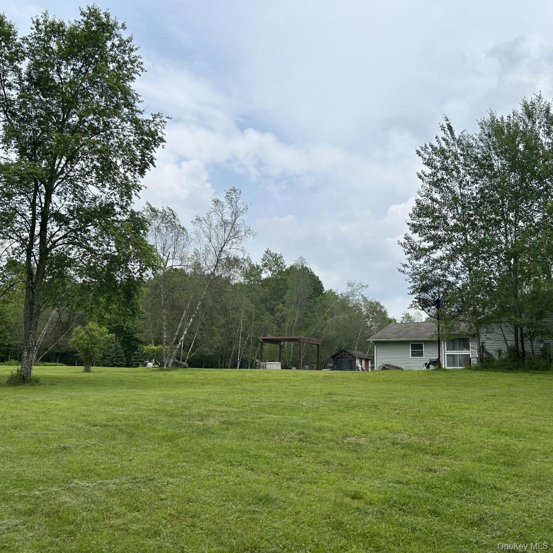 Single Family Crabby Road Sullivan County, NY 12759, MLS-994123-4