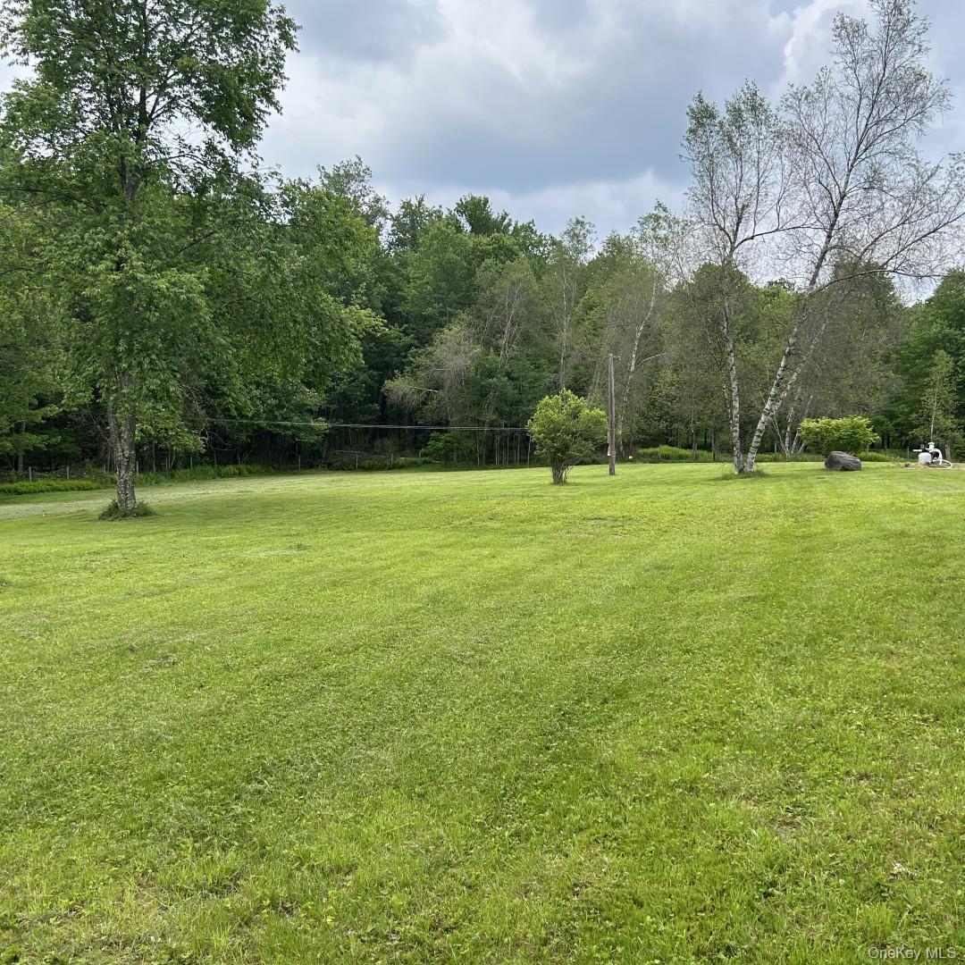 Single Family Crabby Road Sullivan County, NY 12759, MLS-994123-5
