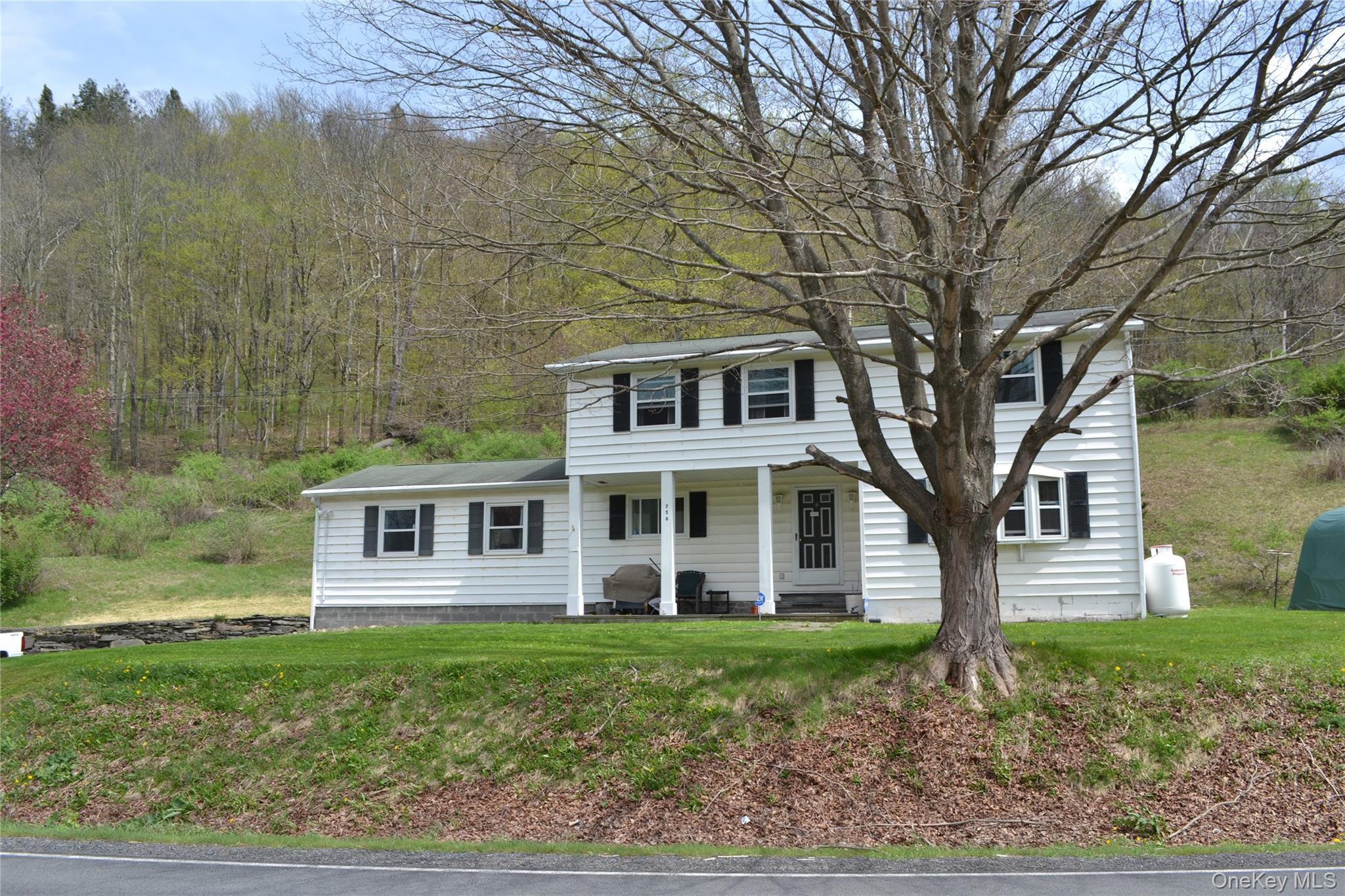 Single Family County Highway 21 Delaware County, NY 13856, MLS-994133-2