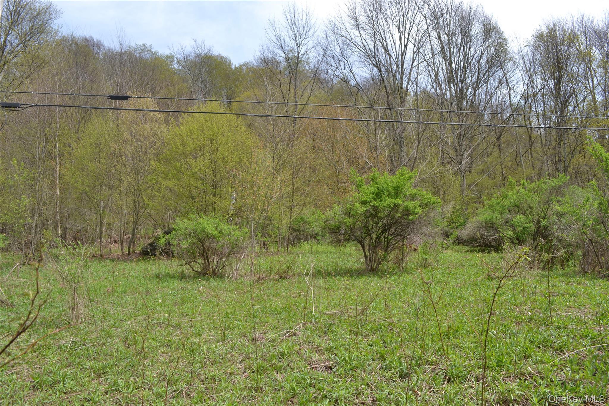Single Family County Highway 21 Delaware County, NY 13856, MLS-994133-29