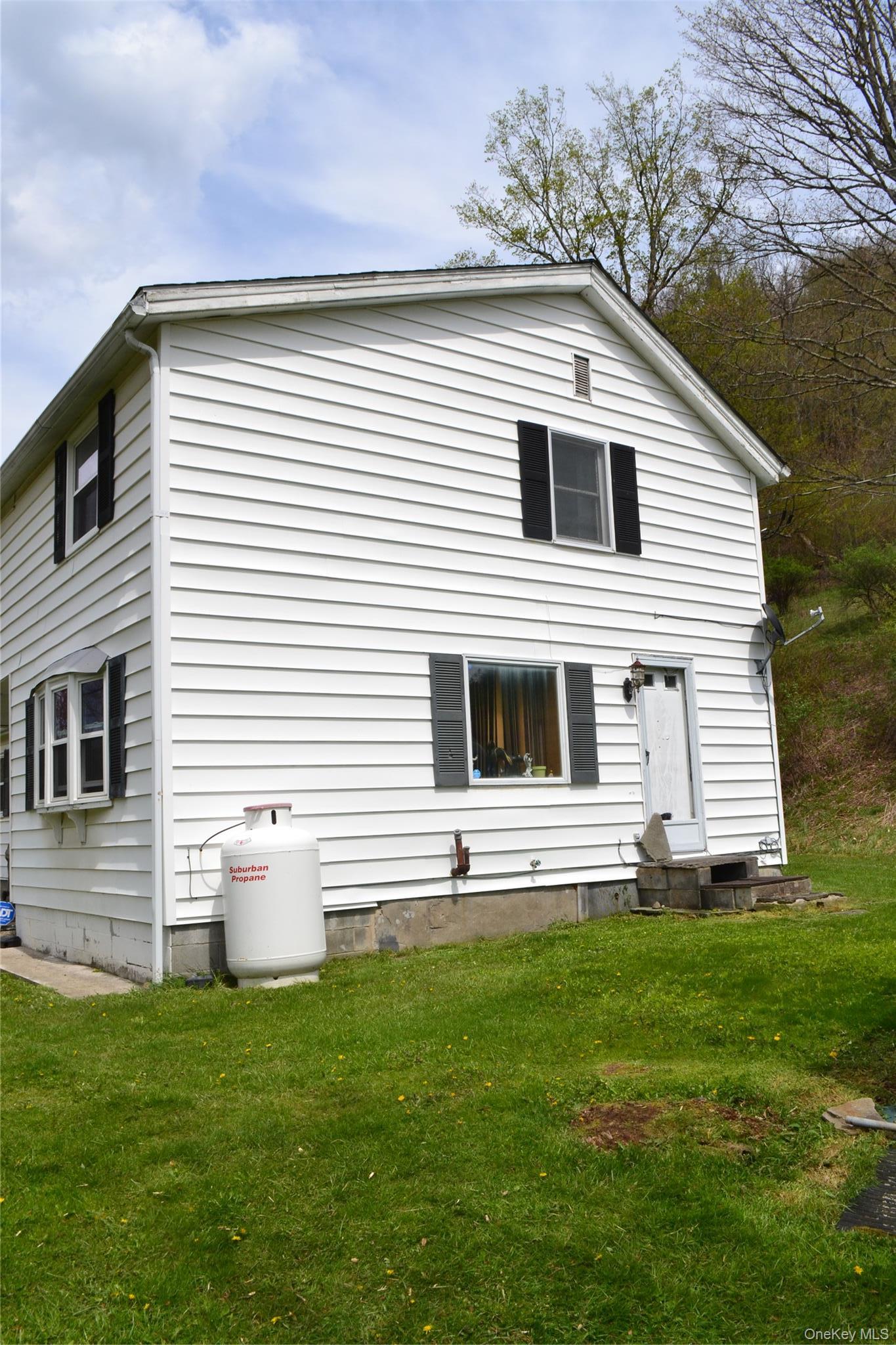Single Family County Highway 21 Delaware County, NY 13856, MLS-994133-3