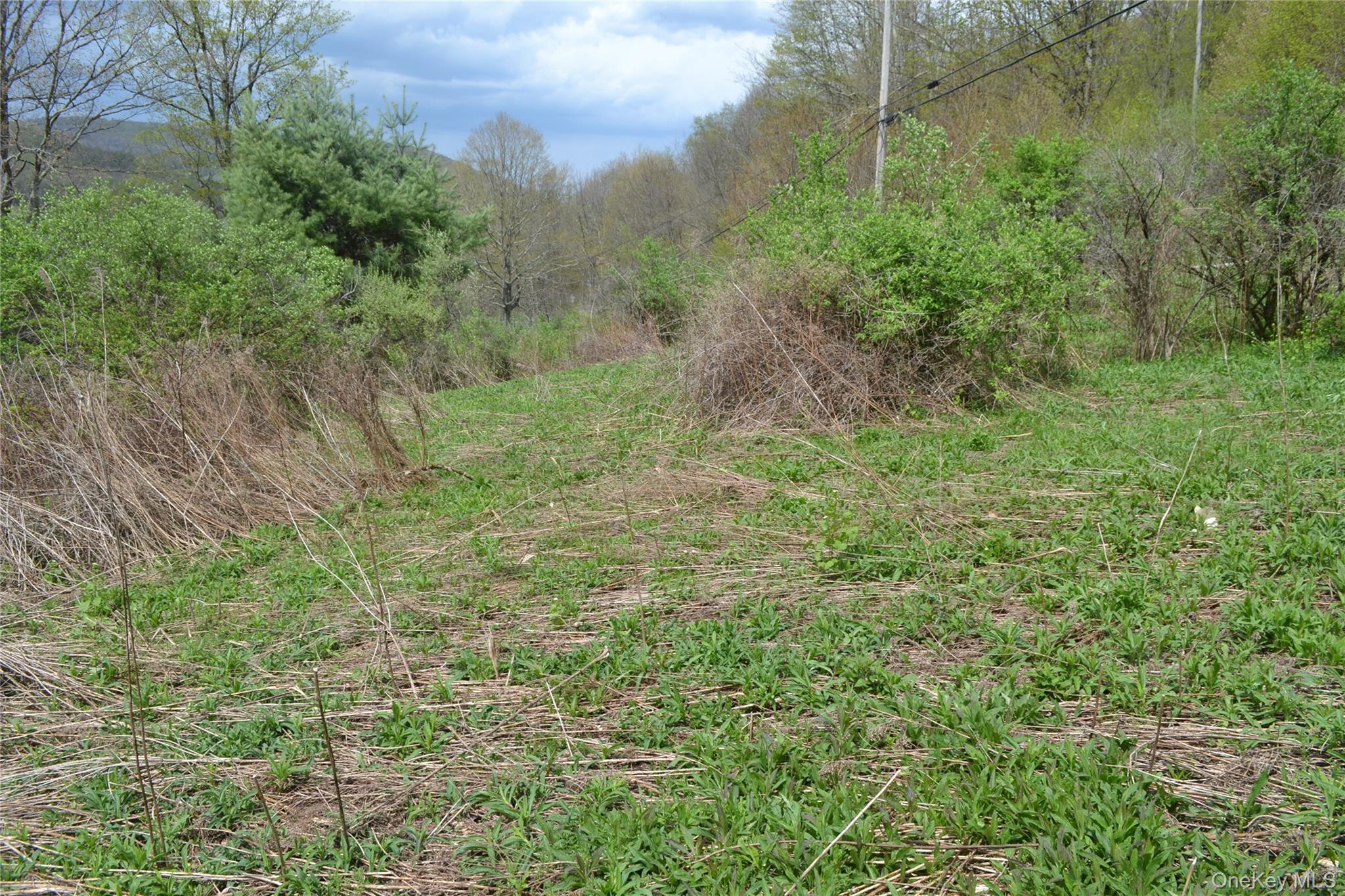 Single Family County Highway 21 Delaware County, NY 13856, MLS-994133-30