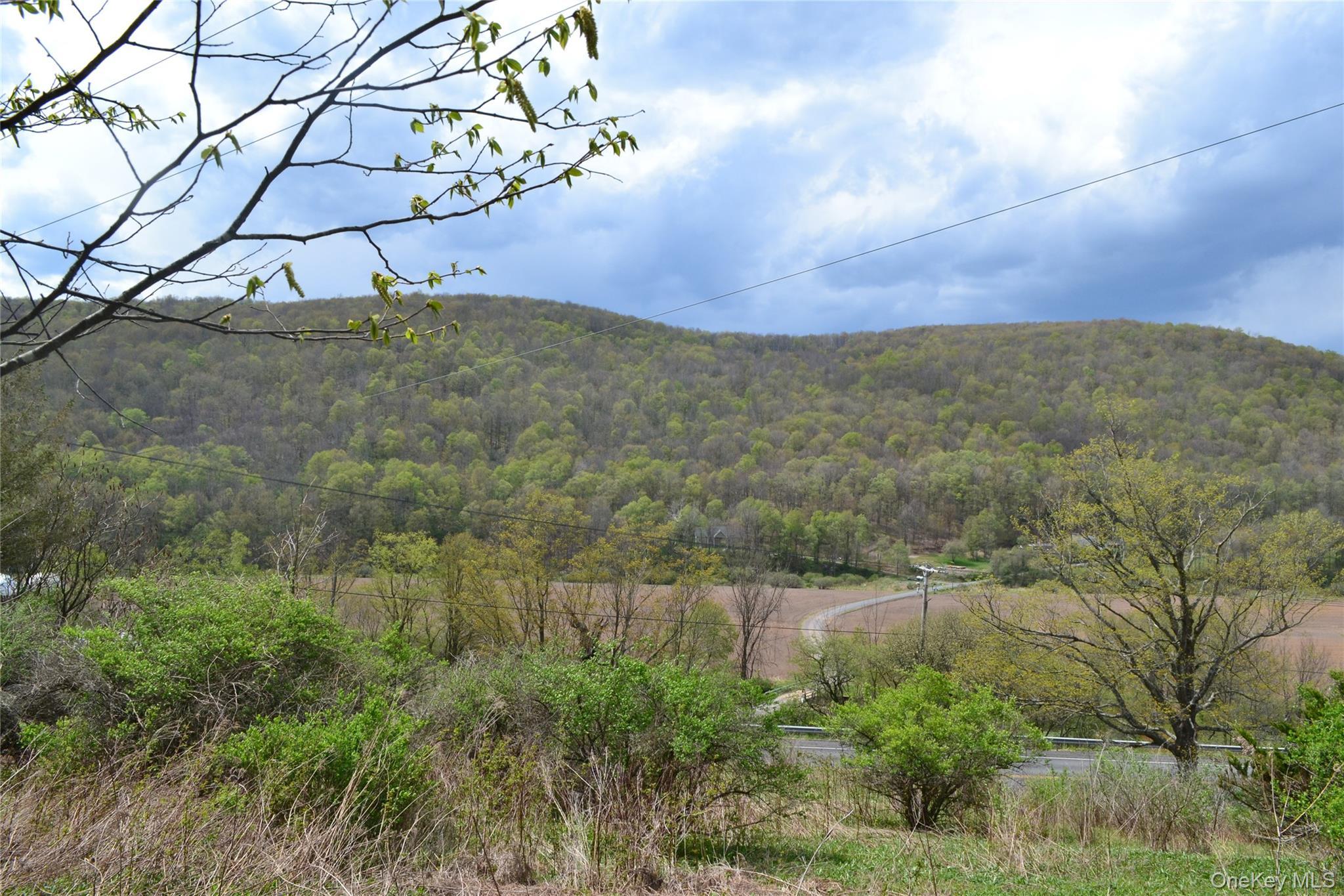 Single Family County Highway 21 Delaware County, NY 13856, MLS-994133-31