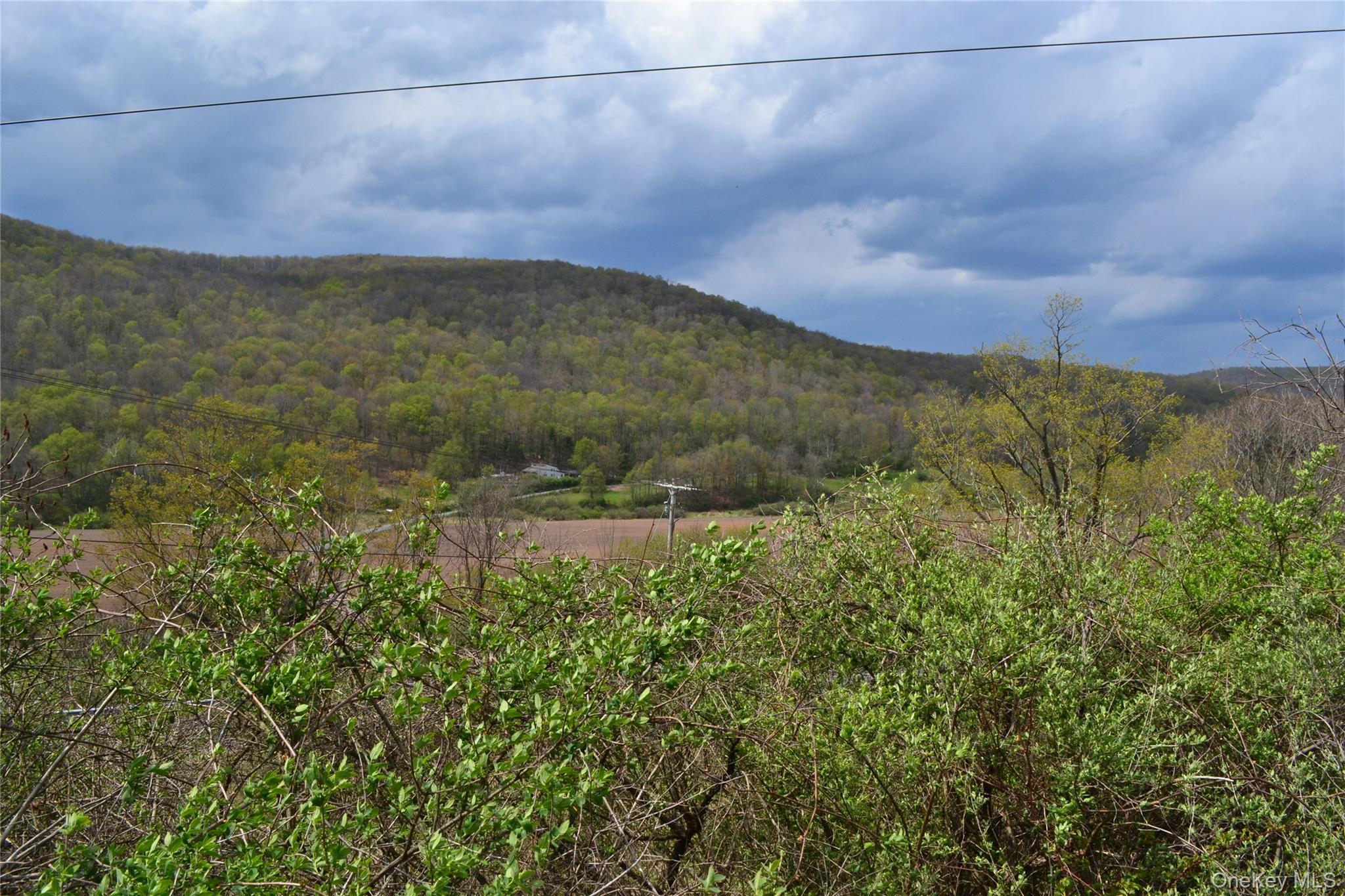 Single Family County Highway 21 Delaware County, NY 13856, MLS-994133-32