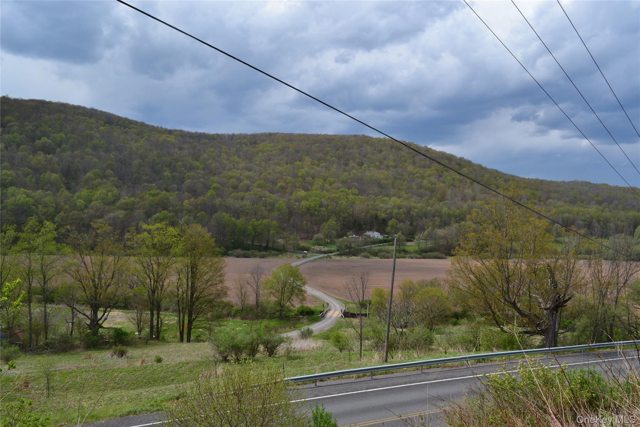 Single Family County Highway 21 Delaware County, NY 13856, MLS-994133-33