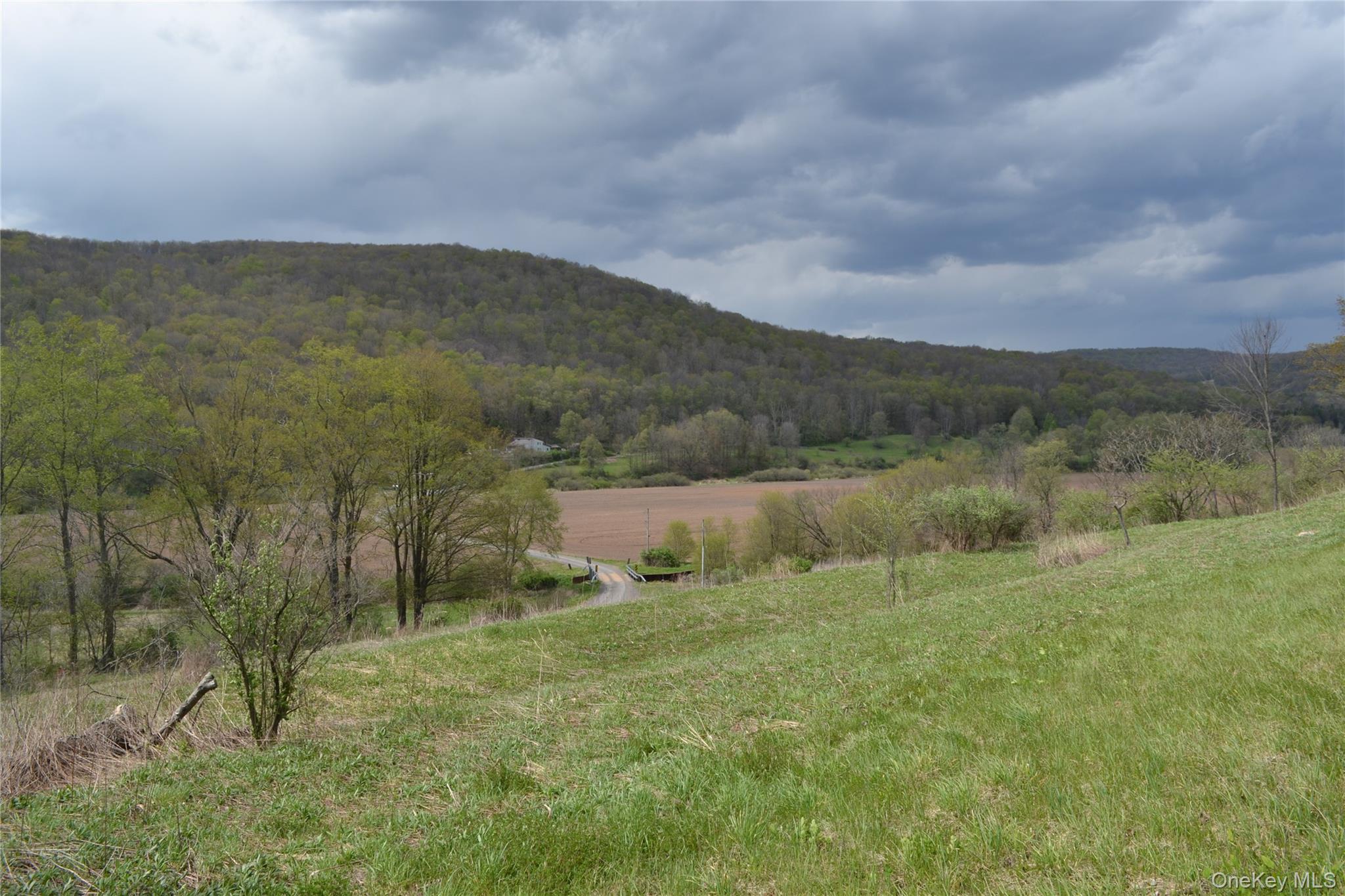 Single Family County Highway 21 Delaware County, NY 13856, MLS-994133-34