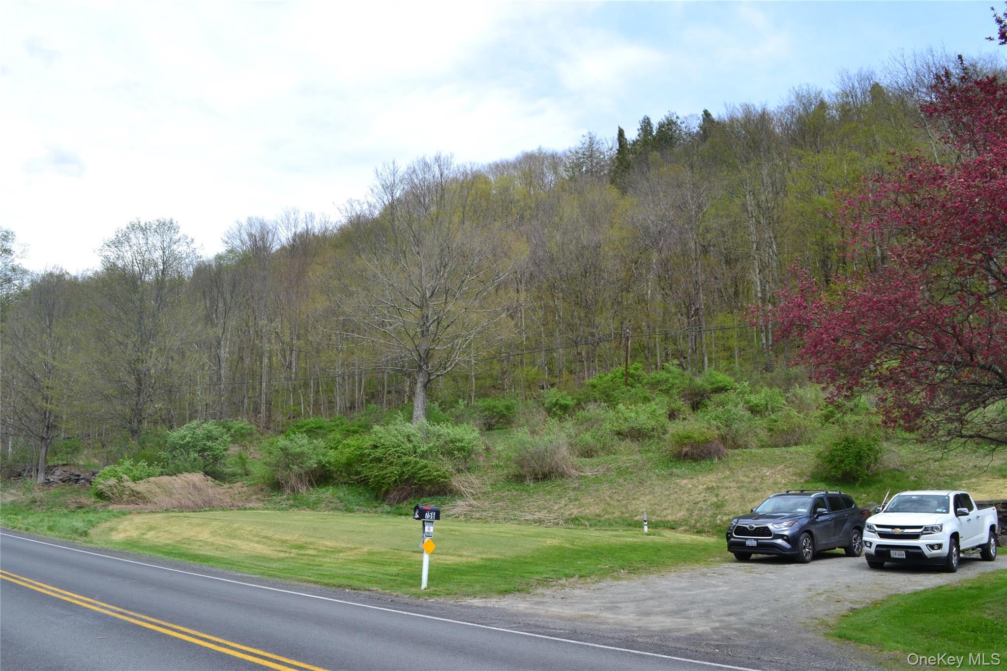 Single Family County Highway 21 Delaware County, NY 13856, MLS-994133-35
