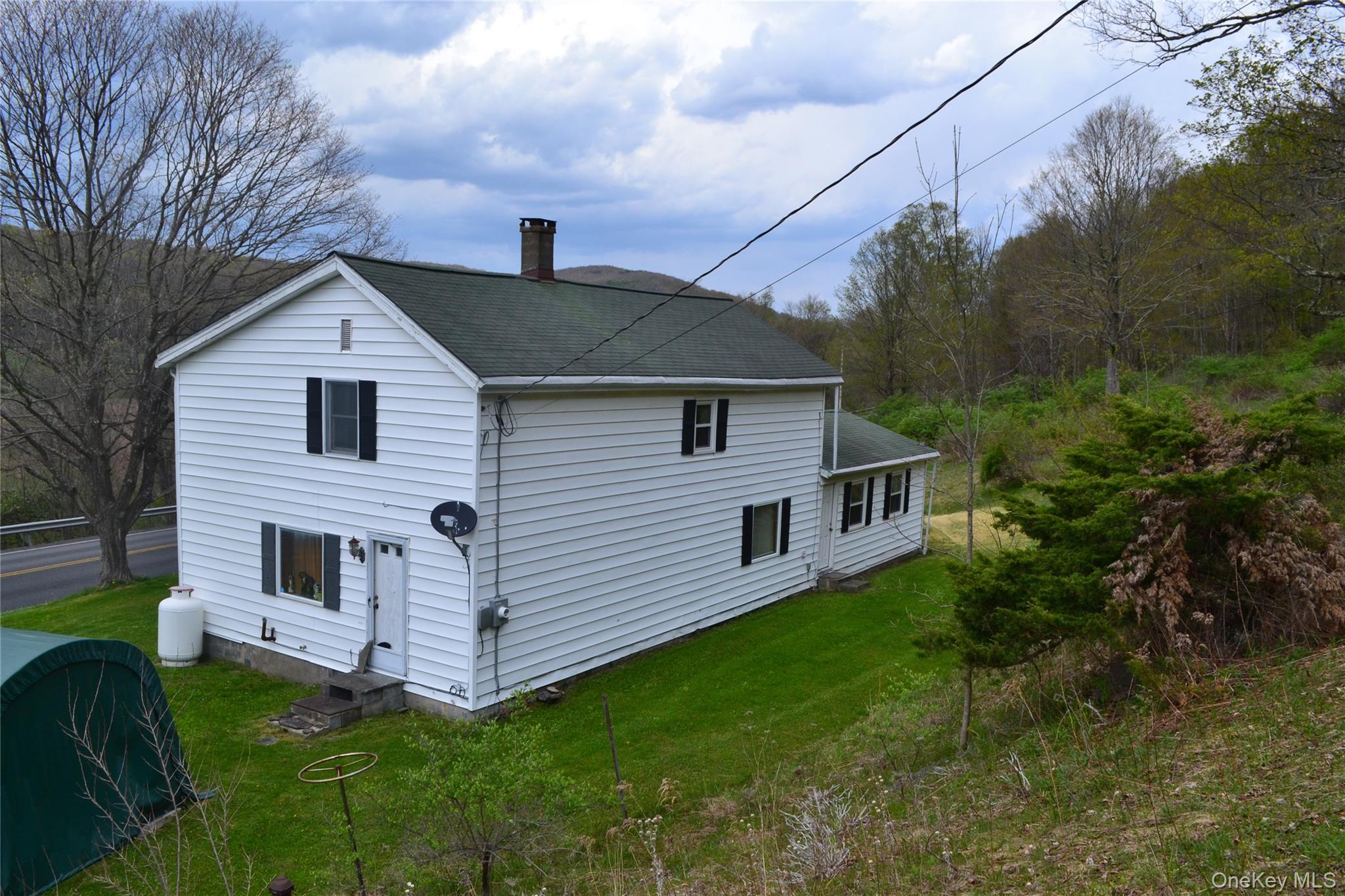 Single Family County Highway 21 Delaware County, NY 13856, MLS-994133-4