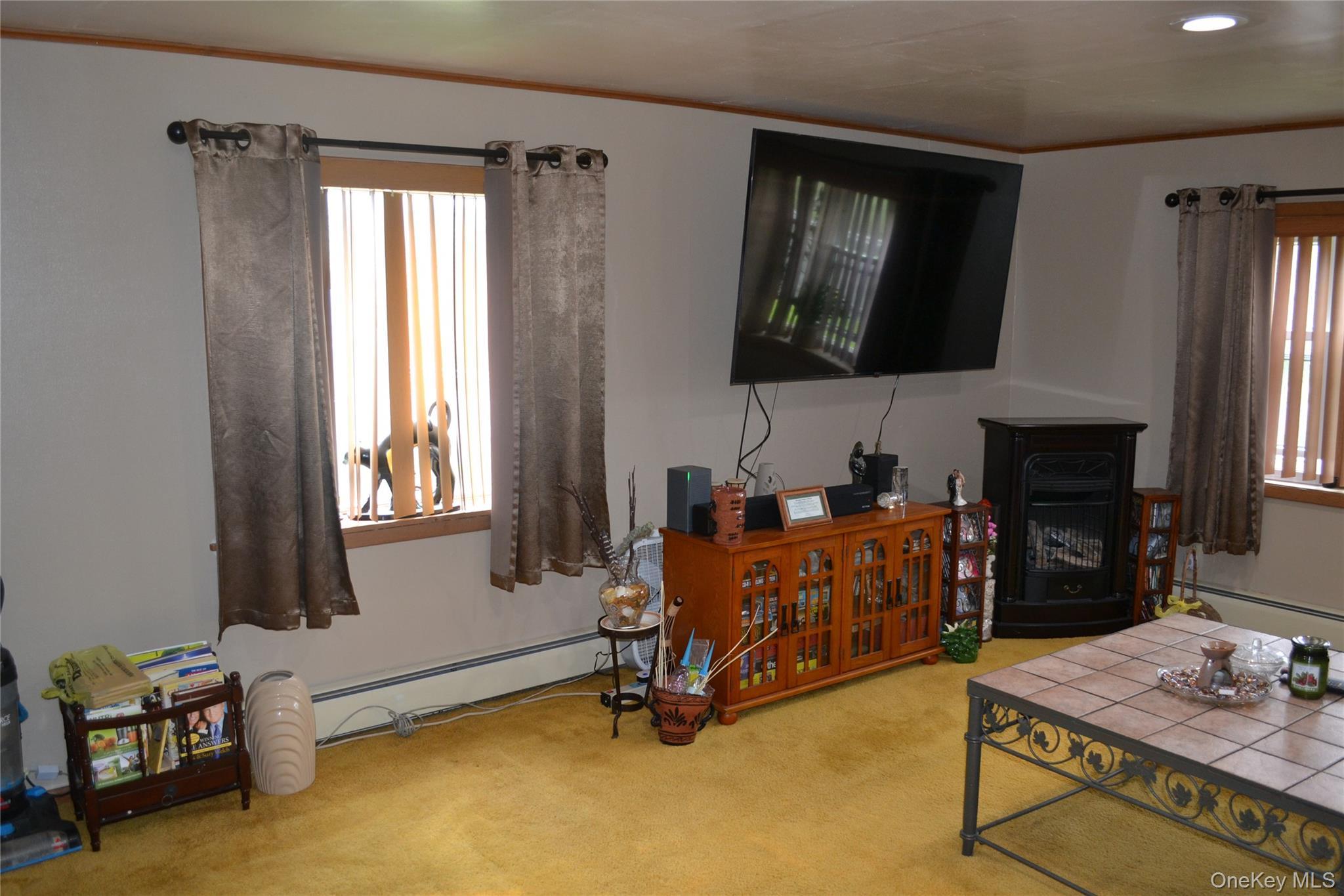 Single Family County Highway 21 Delaware County, NY 13856, MLS-994133-7