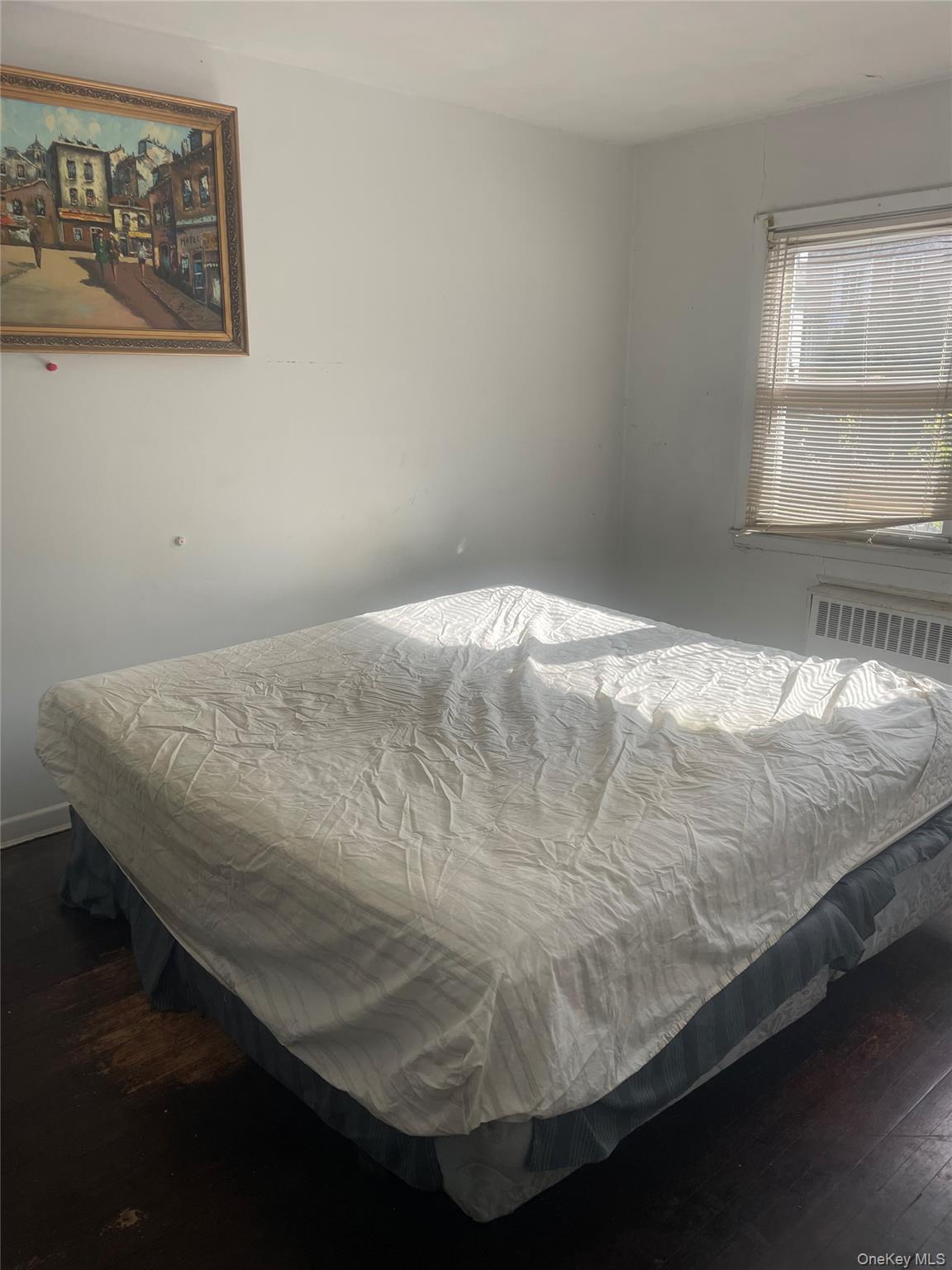 Single Family 126th Street  Queens, NY 11415, MLS-994154-11