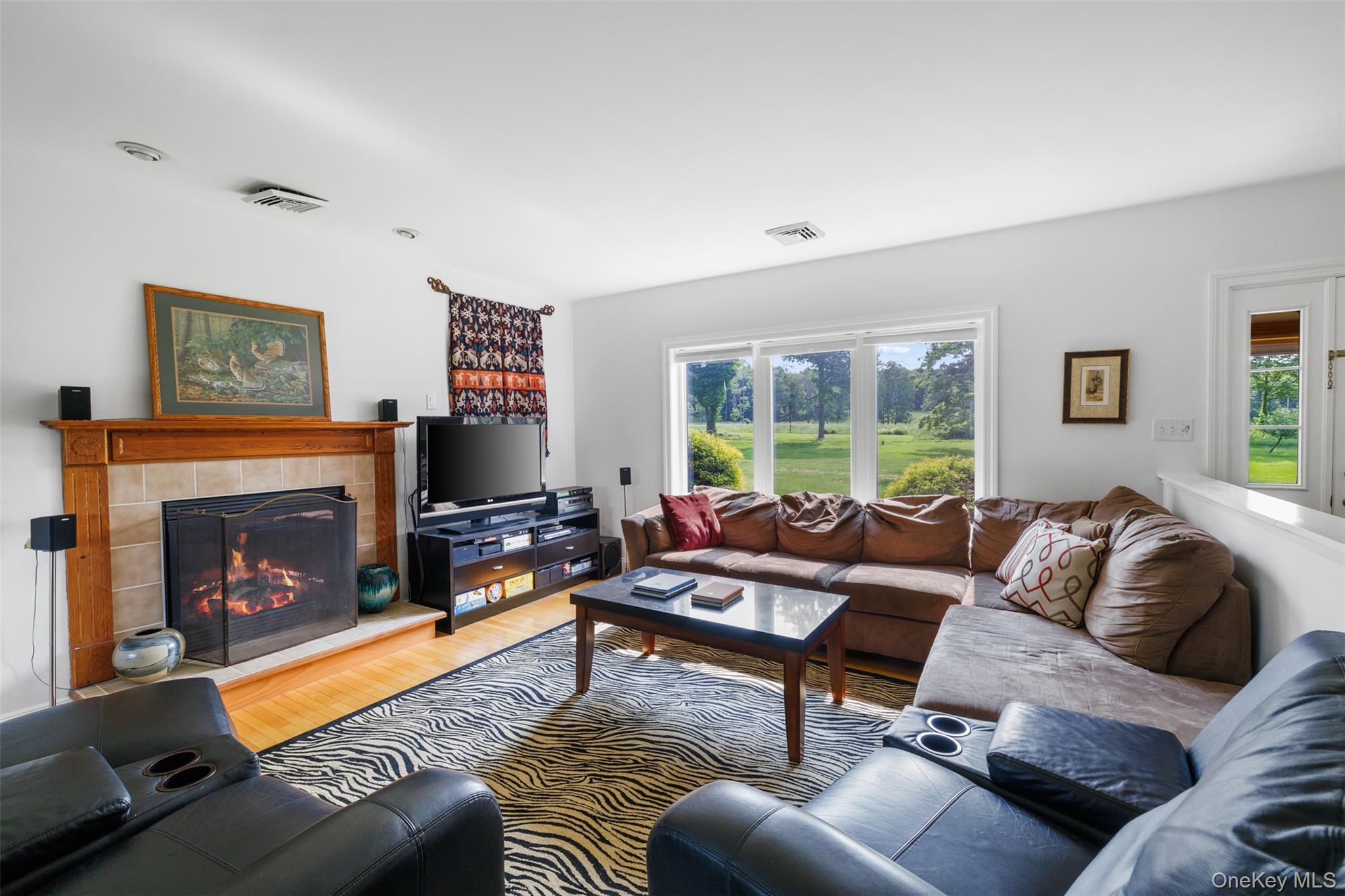 Single Family Woodstock Road Dutchess County, NY 12545, MLS-994161-10