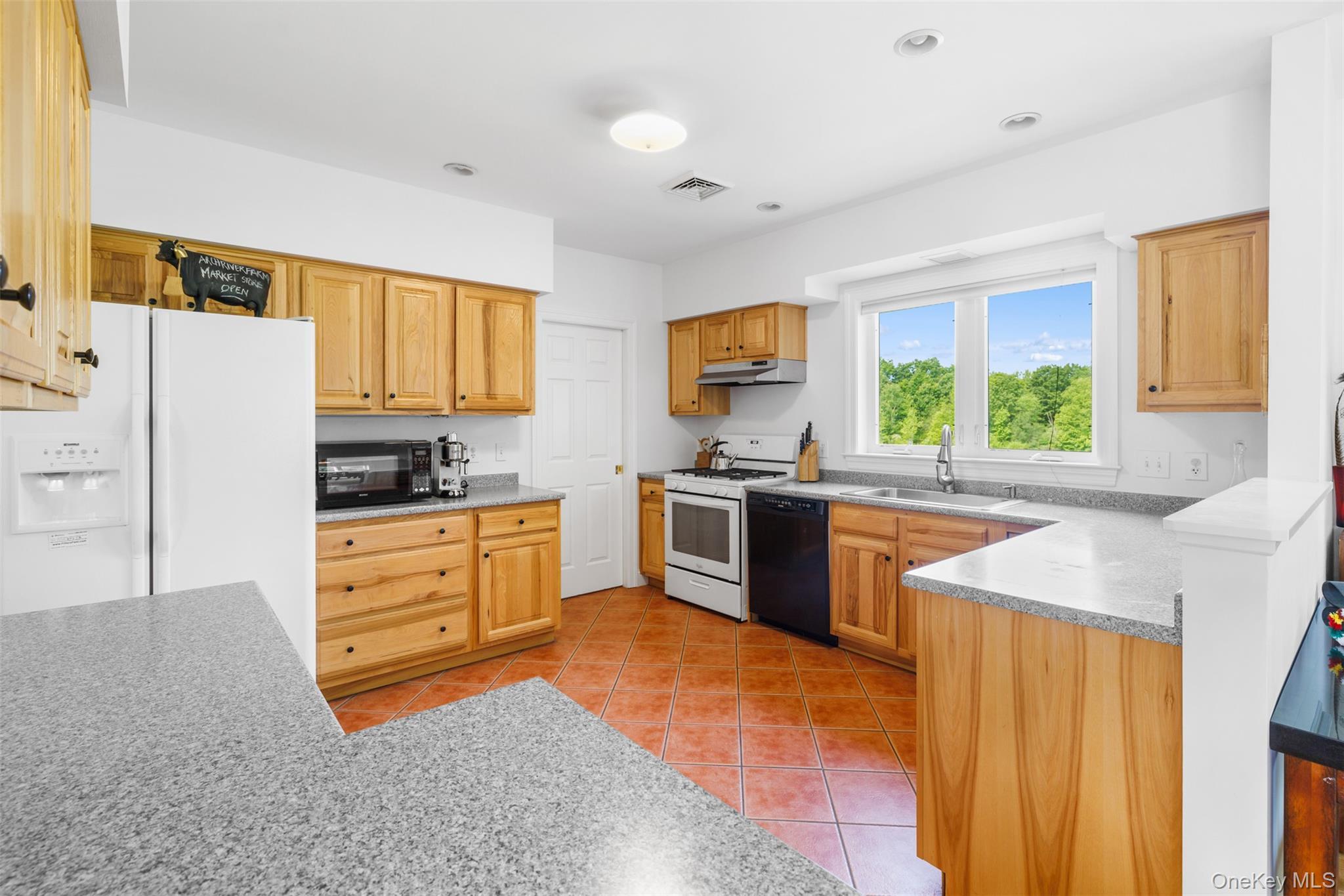 Single Family Woodstock Road Dutchess County, NY 12545, MLS-994161-16
