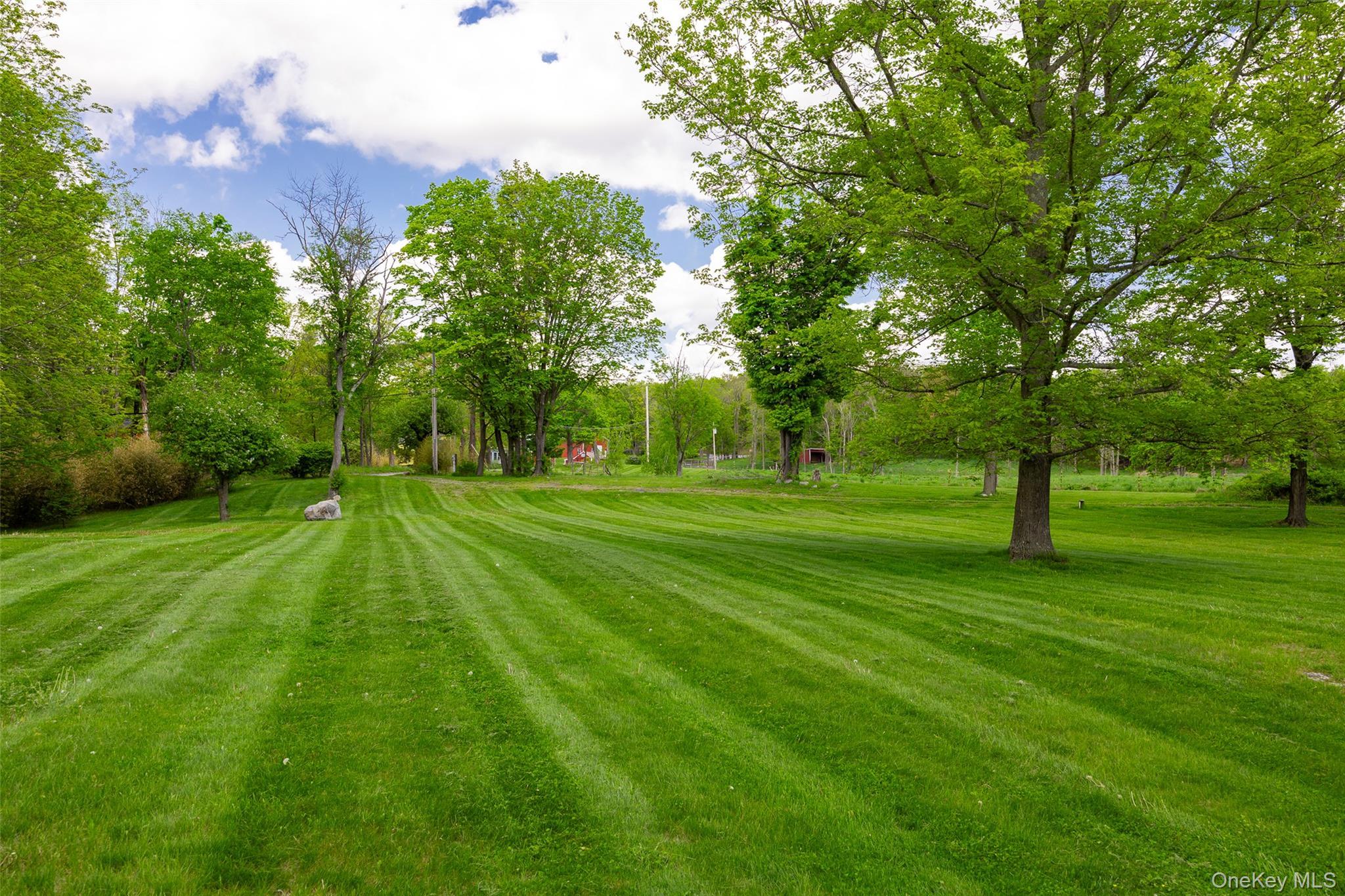 Single Family Woodstock Road Dutchess County, NY 12545, MLS-994161-24