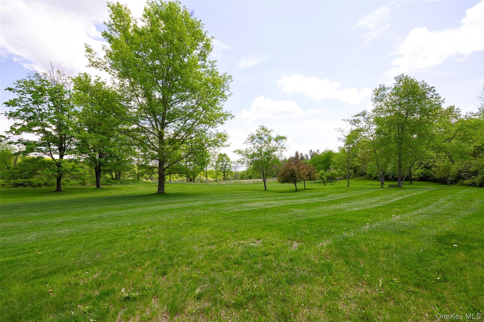 Single Family Woodstock Road Dutchess County, NY 12545, MLS-994161-25