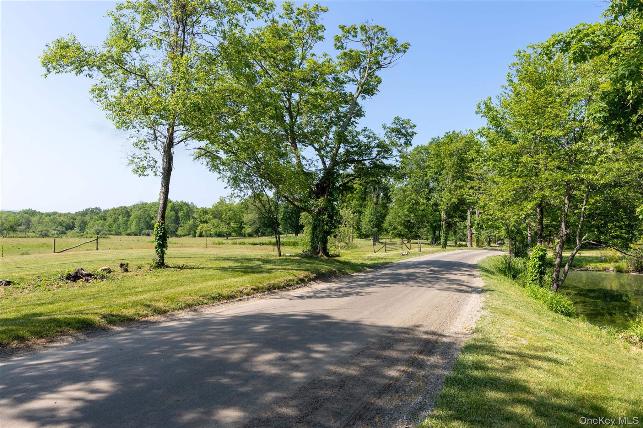 Single Family Woodstock Road Dutchess County, NY 12545, MLS-994161-34
