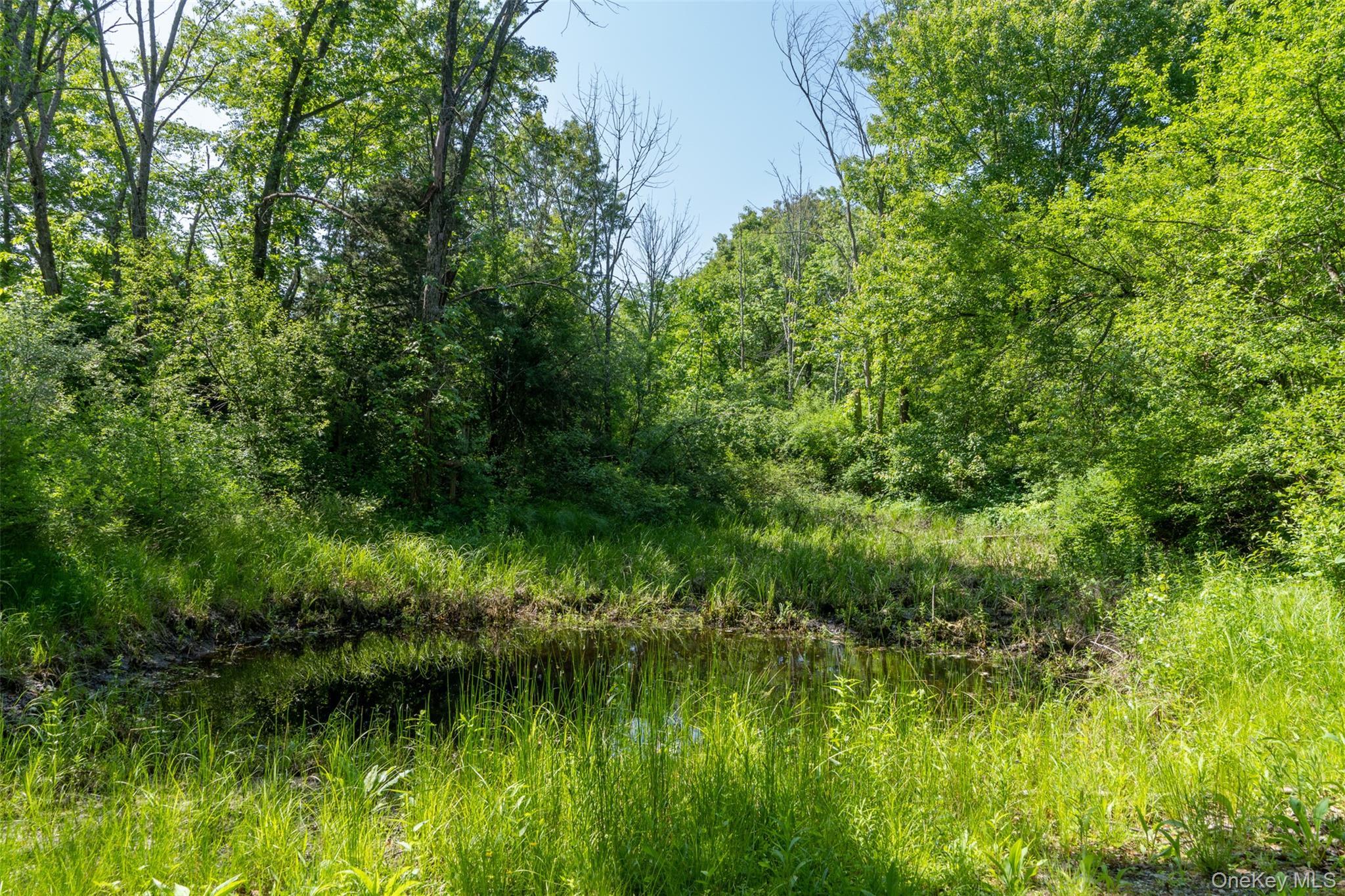 Single Family Woodstock Road Dutchess County, NY 12545, MLS-994161-39